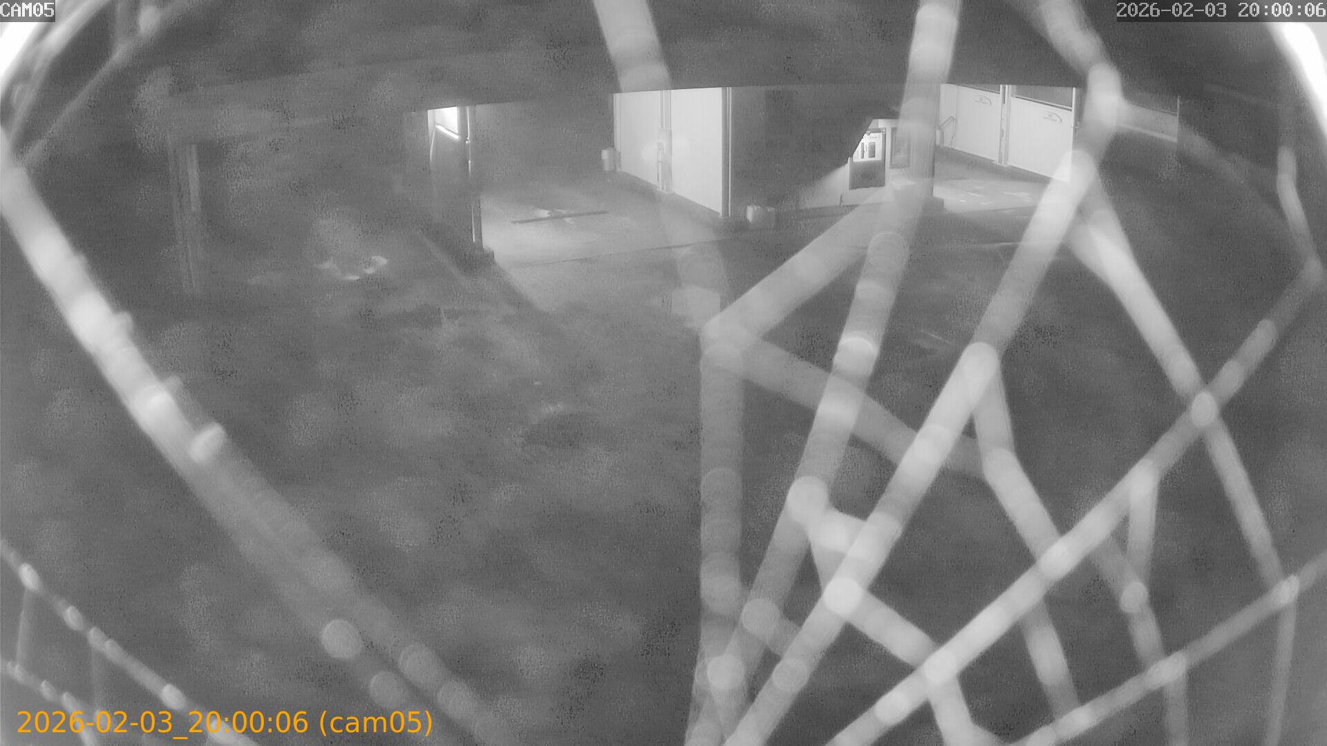 thumbnail_20260203200006