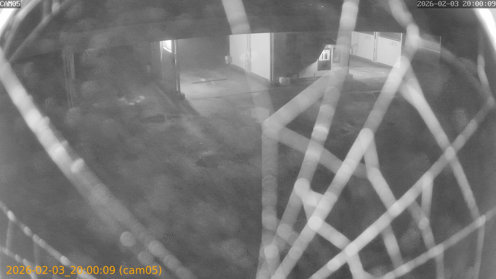 thumbnail_20260203200009