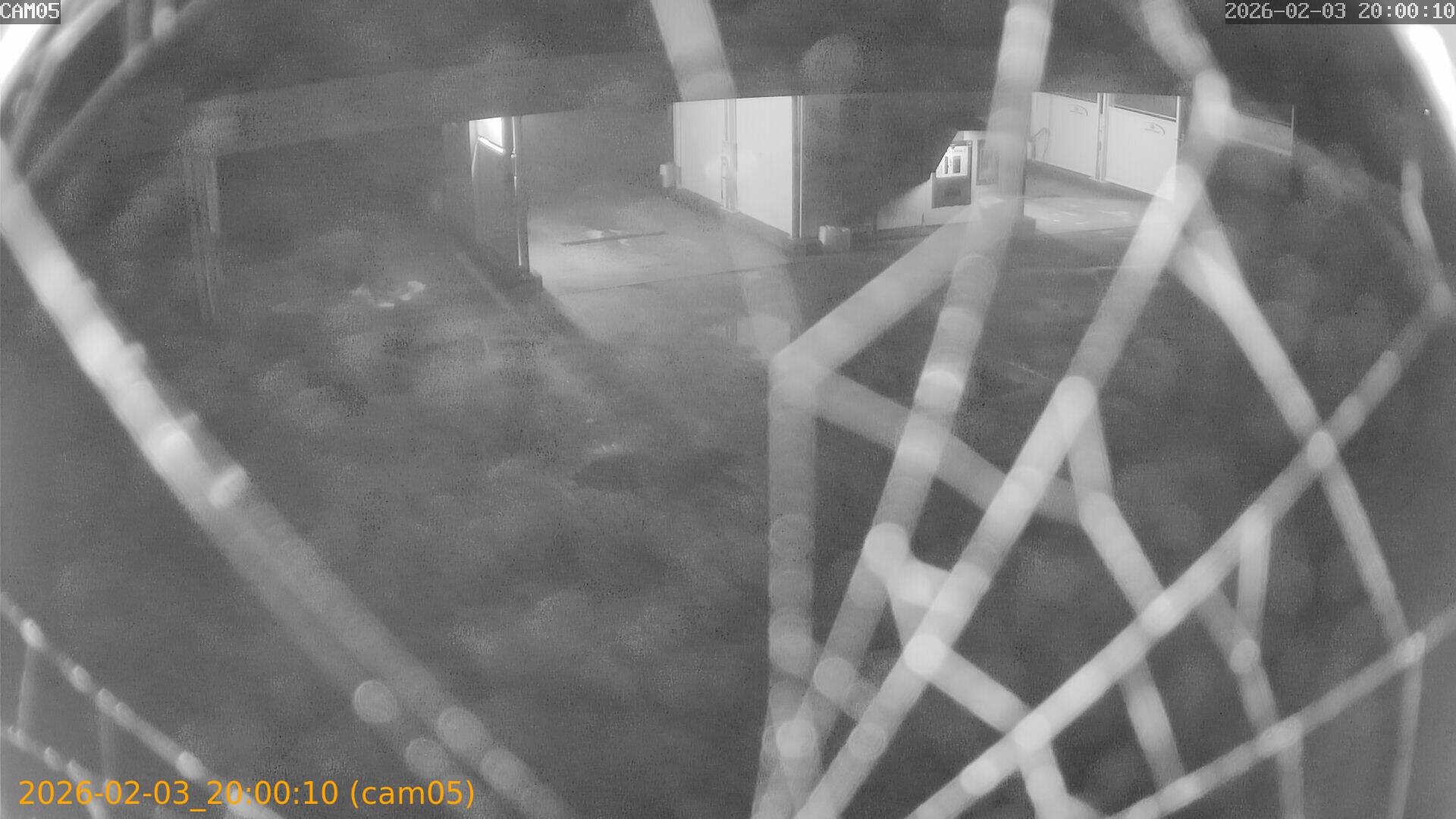 thumbnail_20260203200010