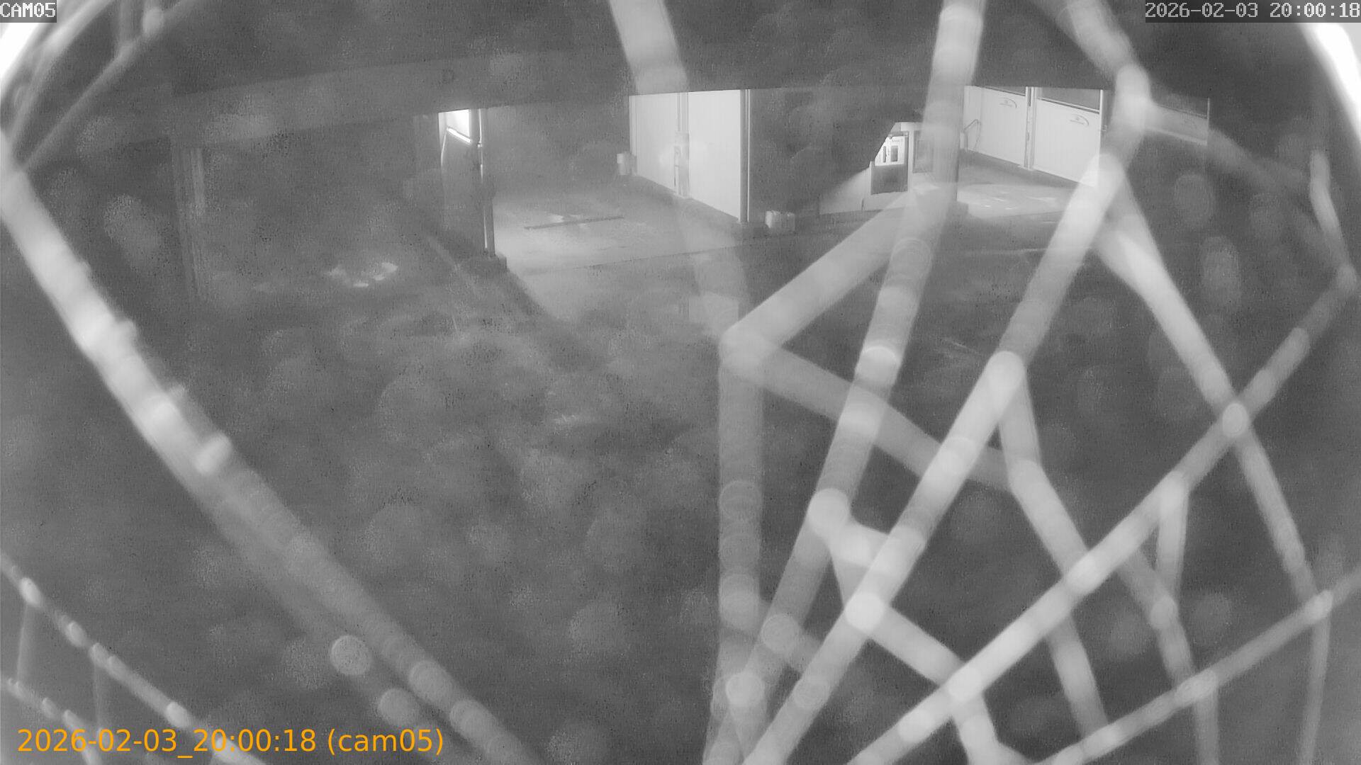 thumbnail_20260203200018