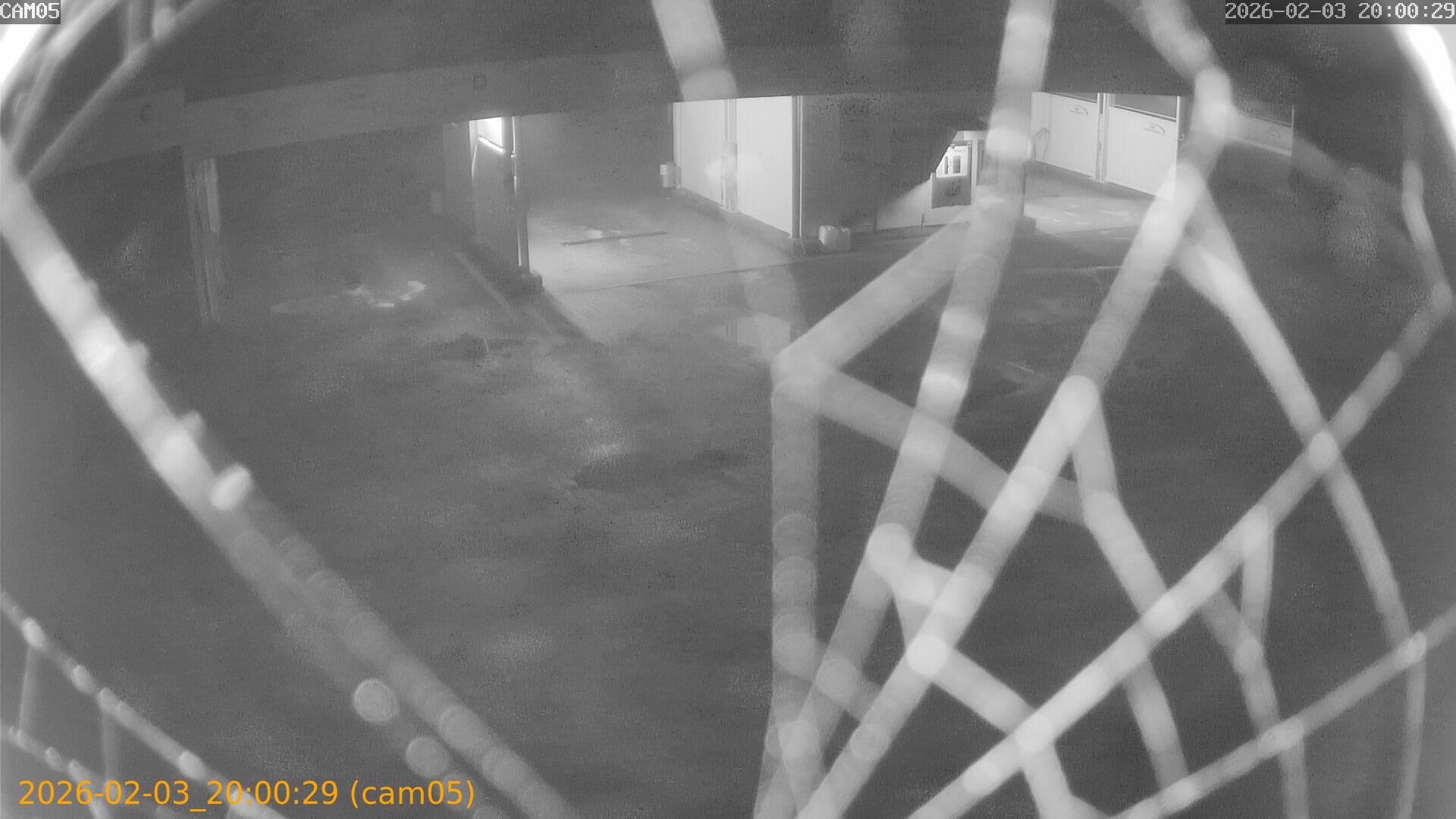 thumbnail_20260203200029