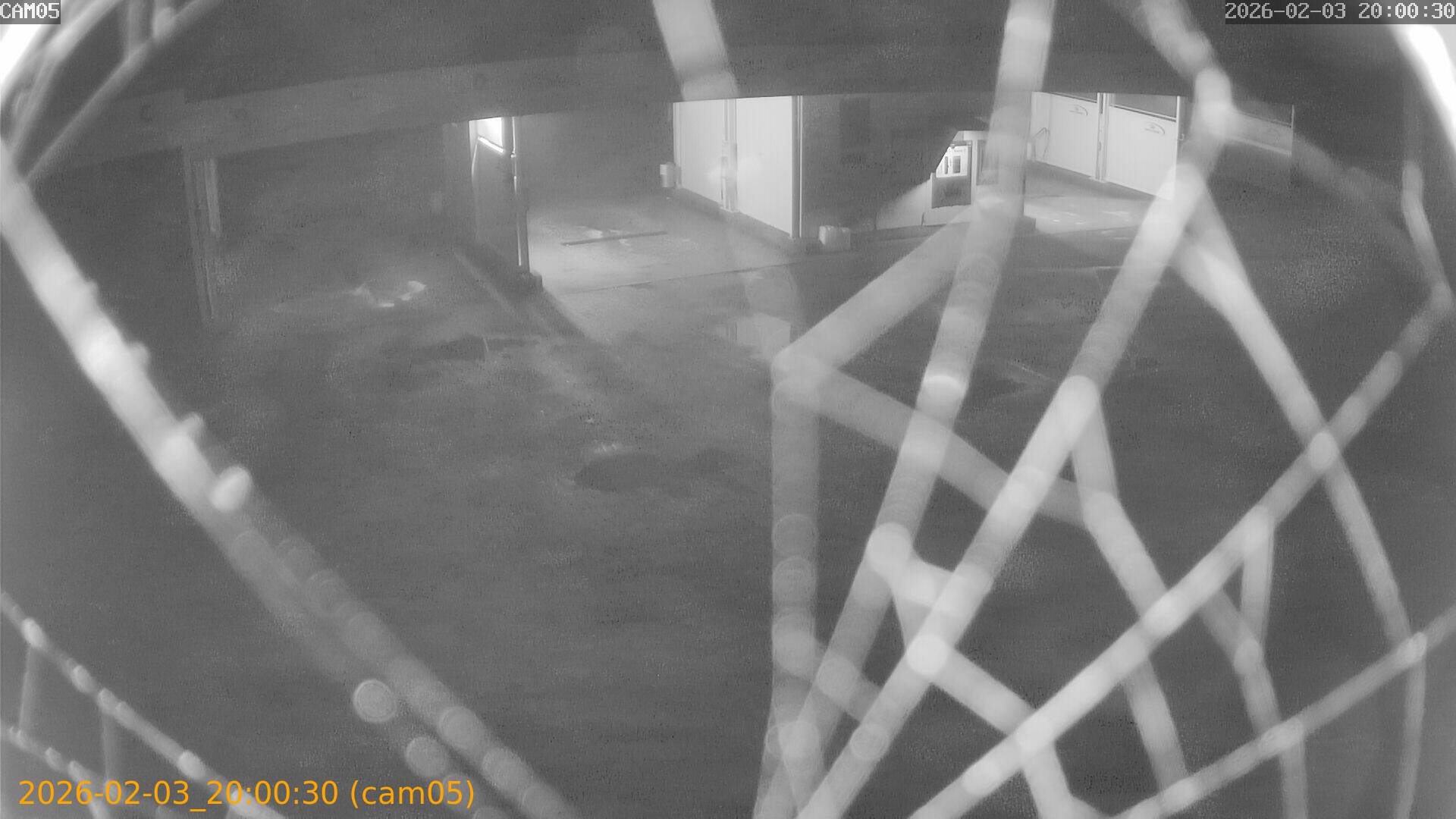 thumbnail_20260203200030