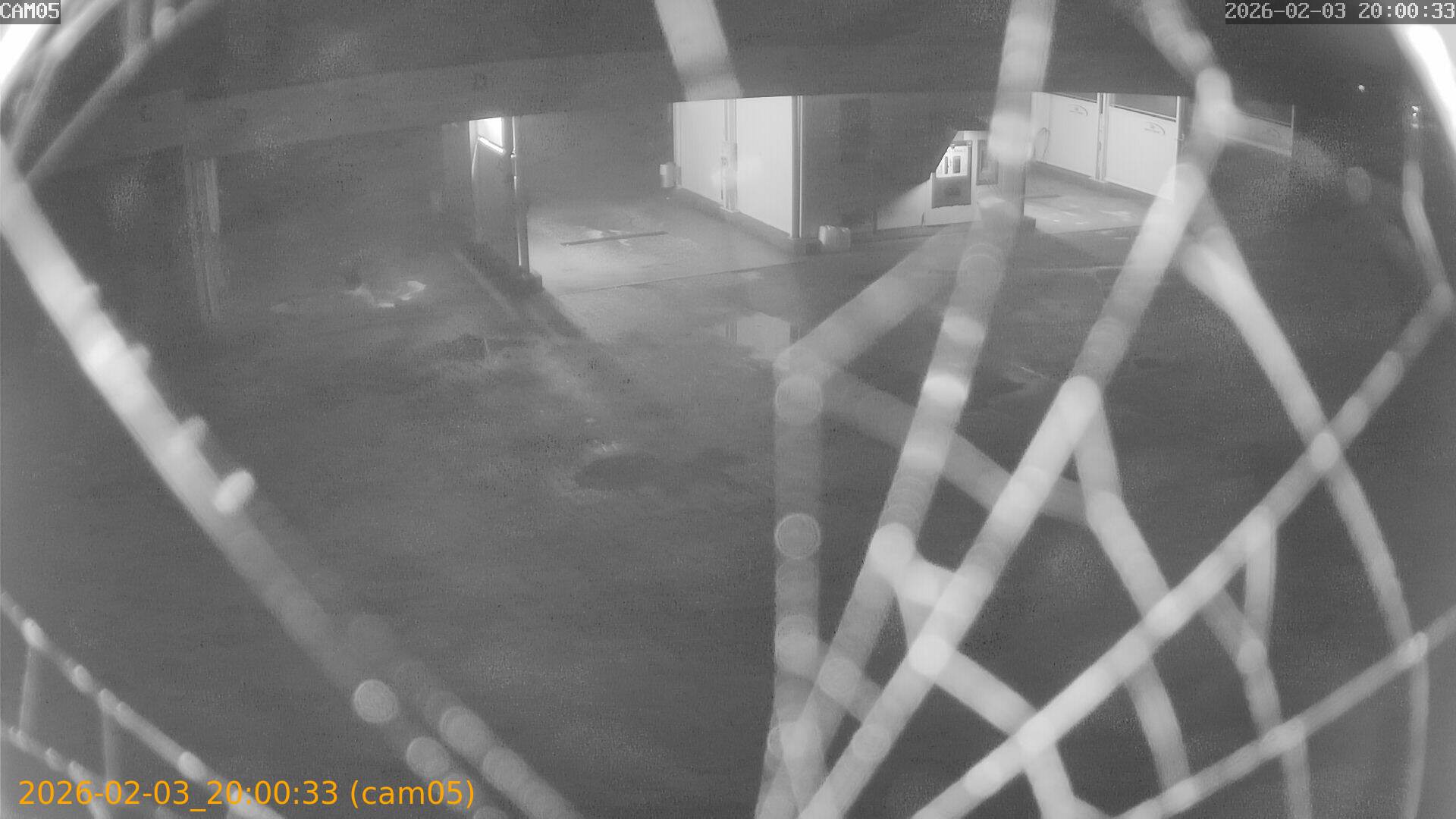 thumbnail_20260203200033