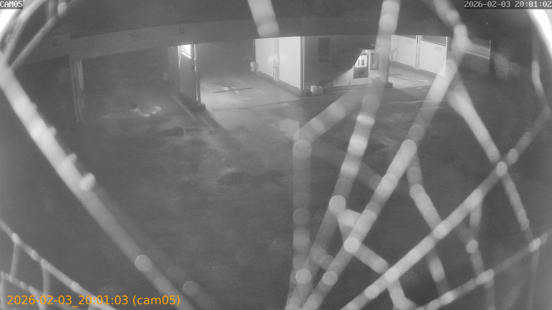 thumbnail_20260203200103