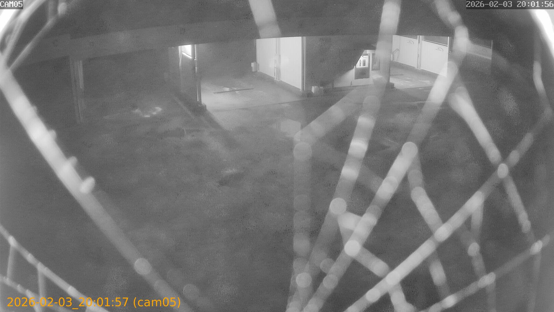 thumbnail_20260203200157