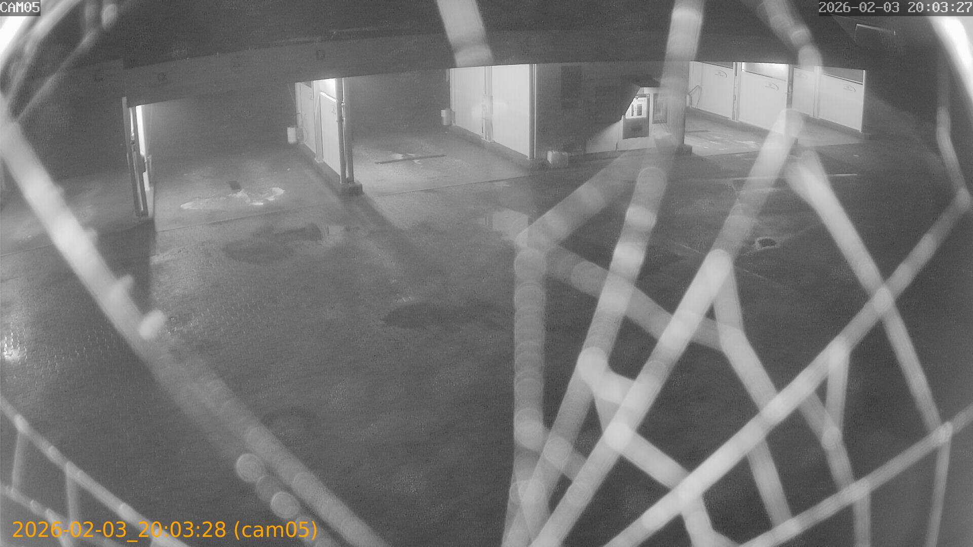 thumbnail_20260203200328