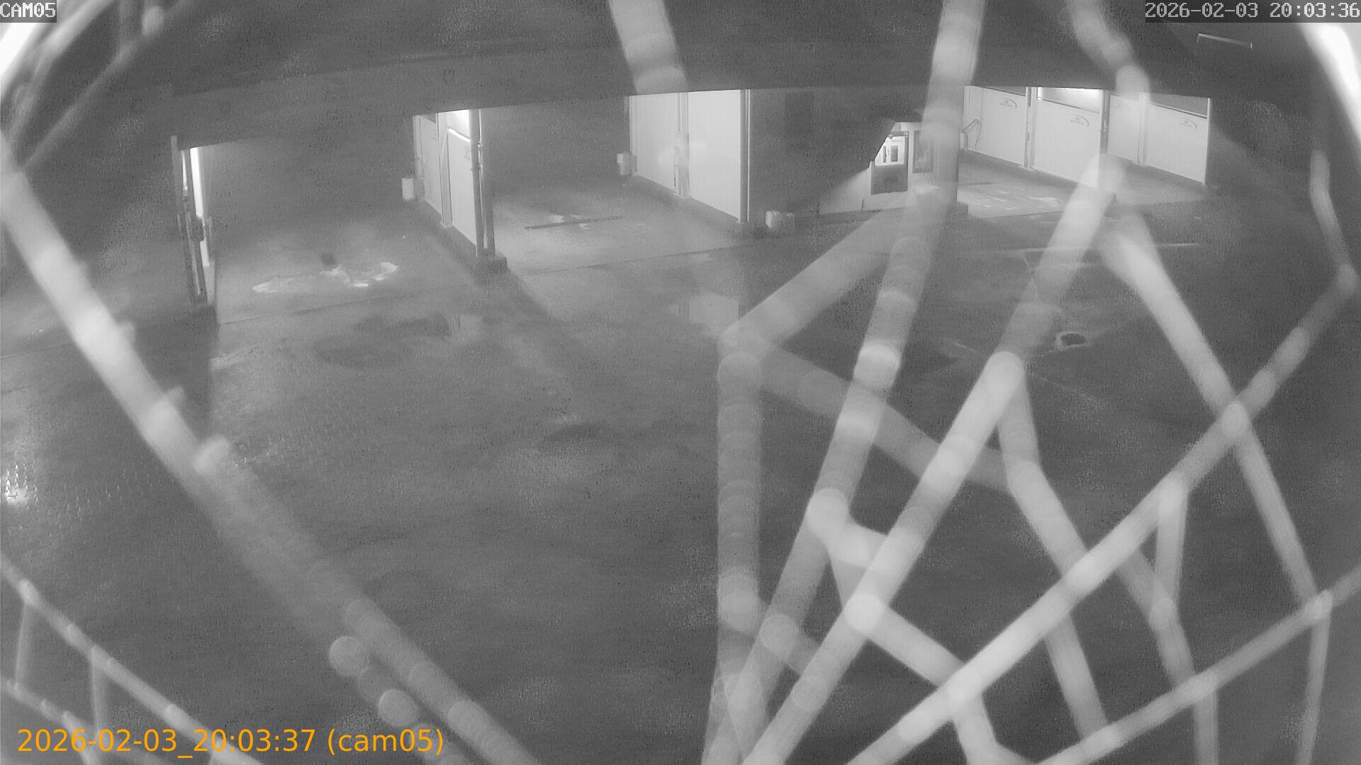 thumbnail_20260203200337