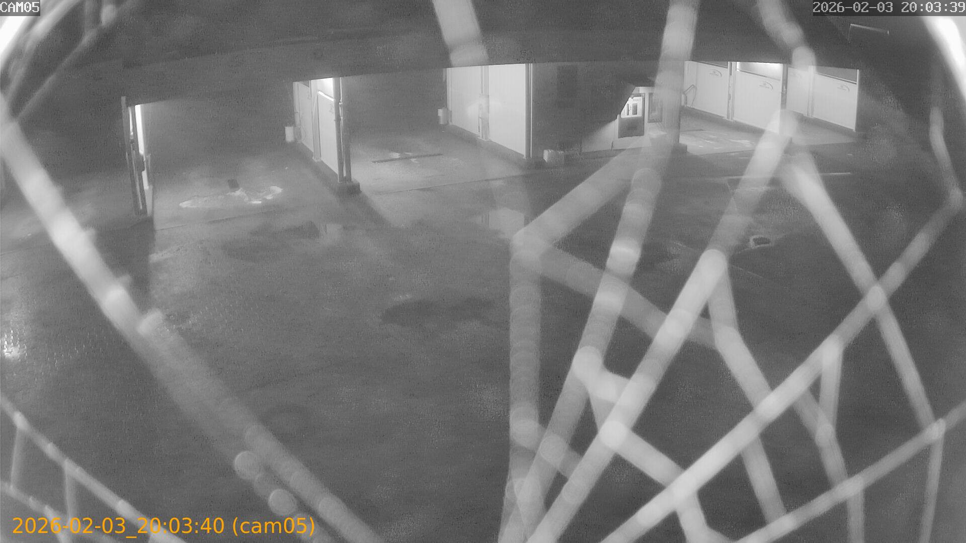 thumbnail_20260203200340