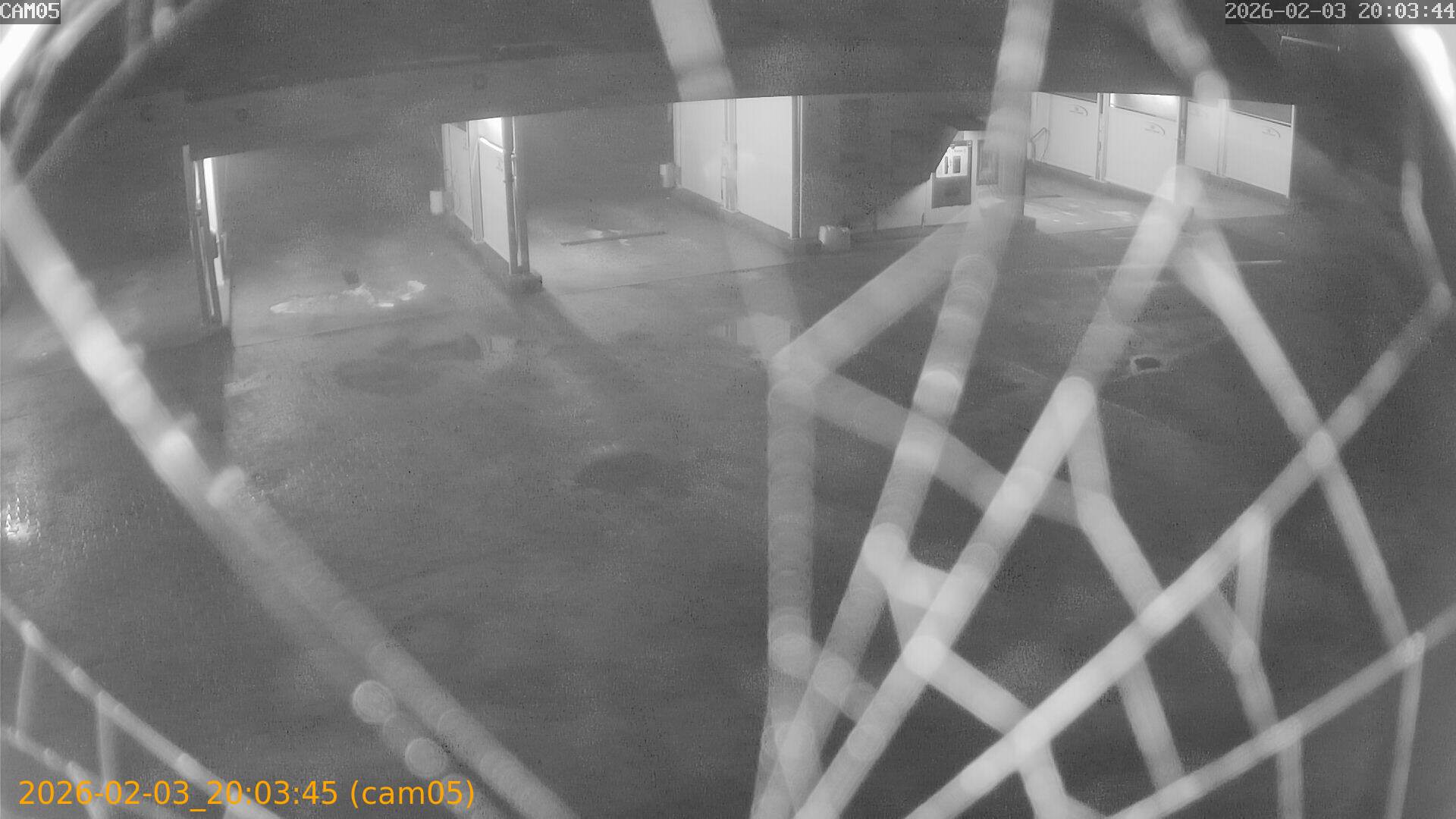 thumbnail_20260203200345