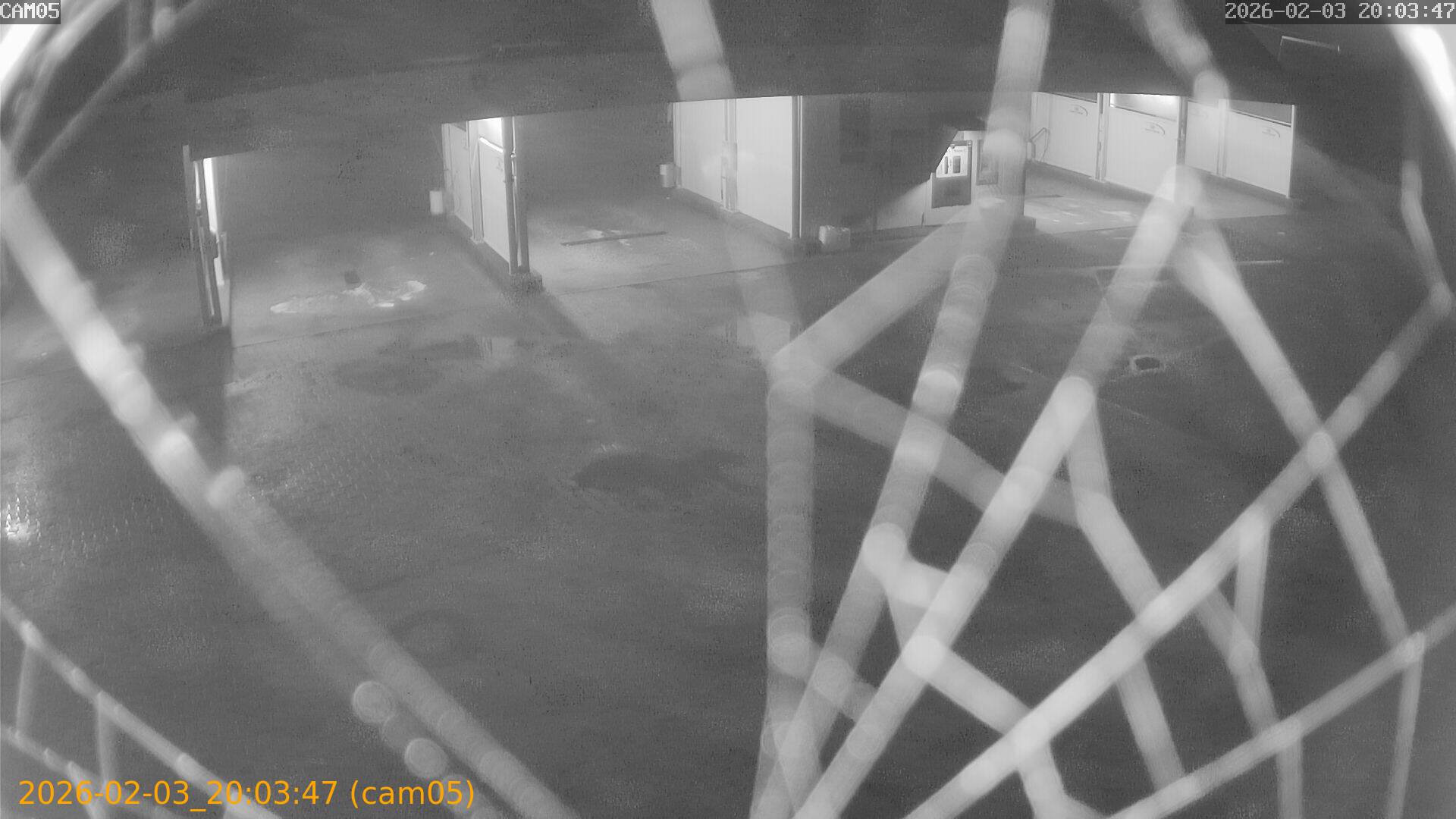 thumbnail_20260203200347