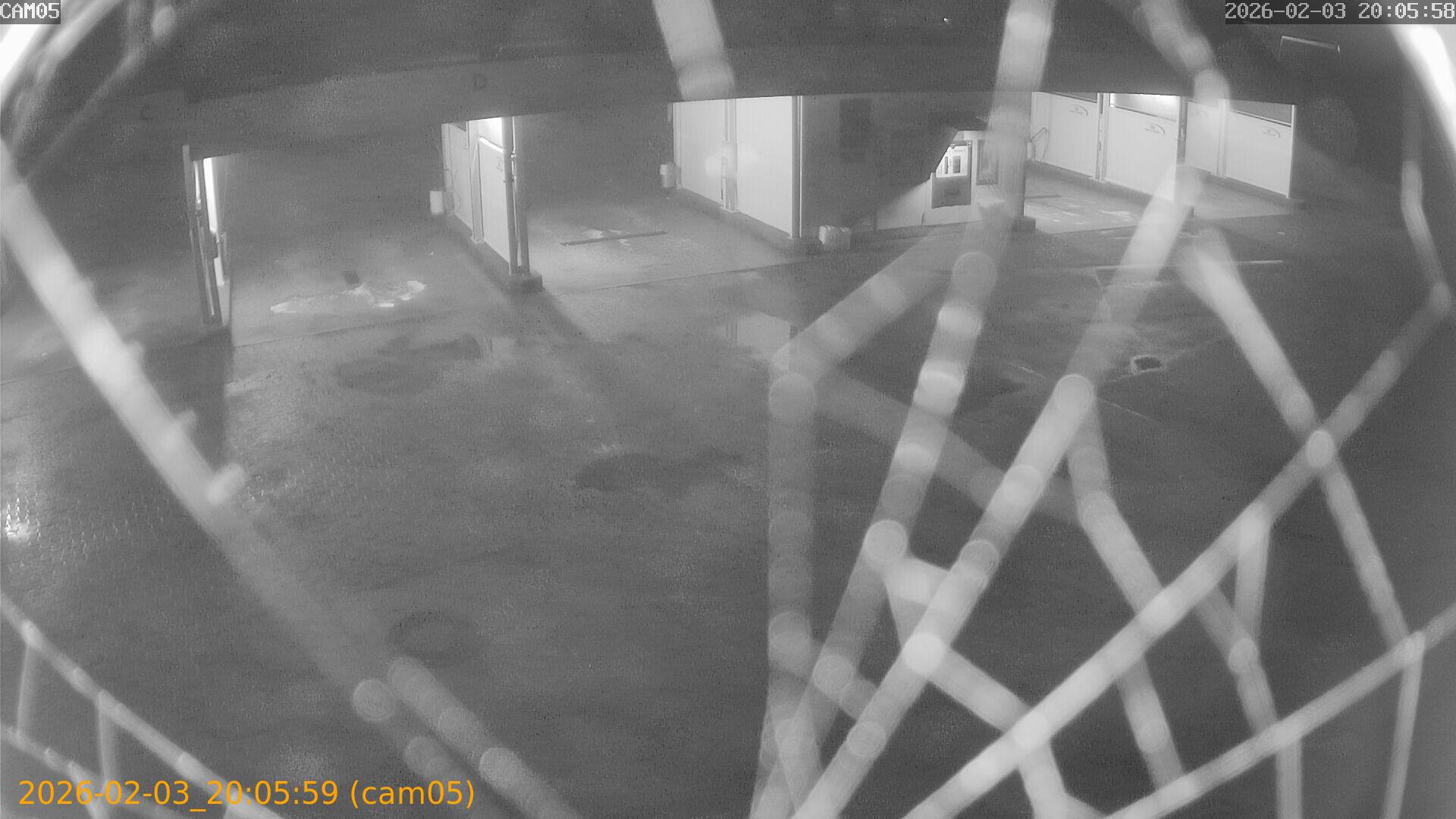 thumbnail_20260203200559