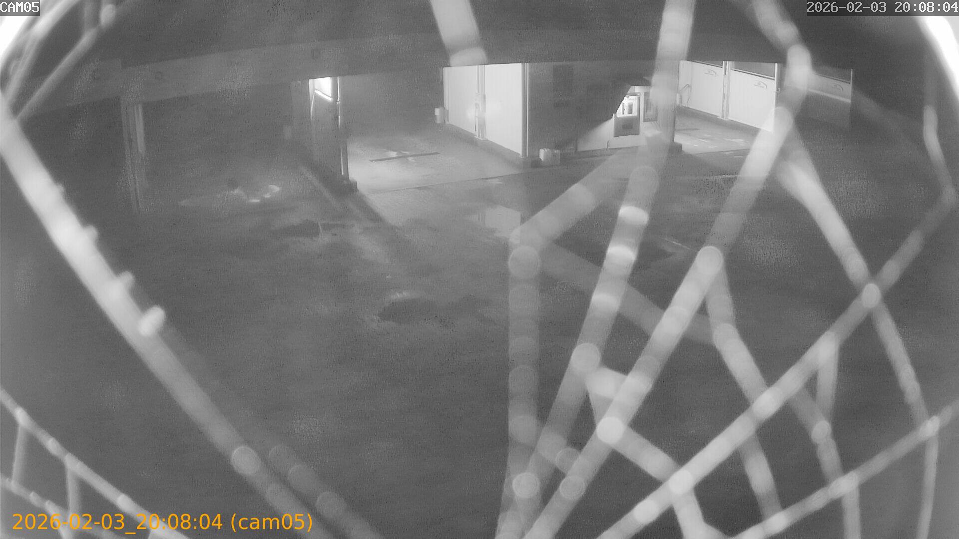 thumbnail_20260203200804