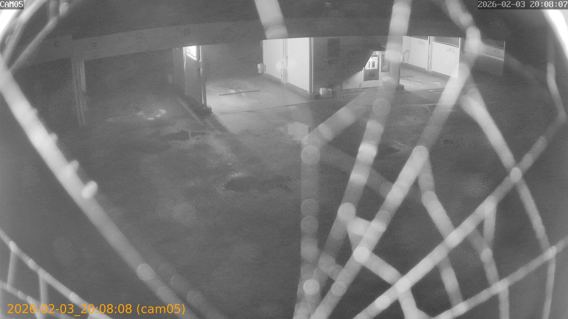 thumbnail_20260203200808