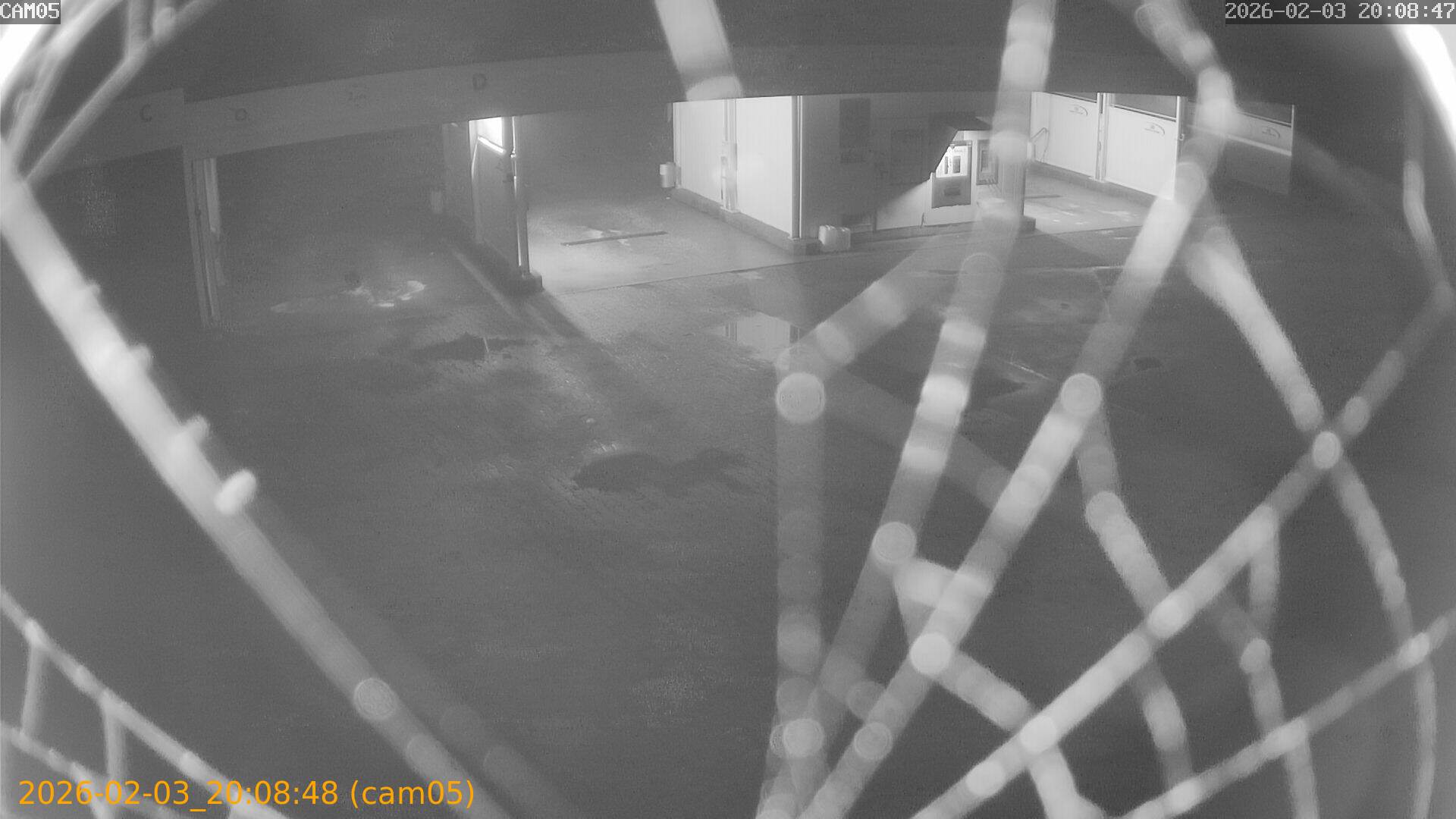 thumbnail_20260203200848