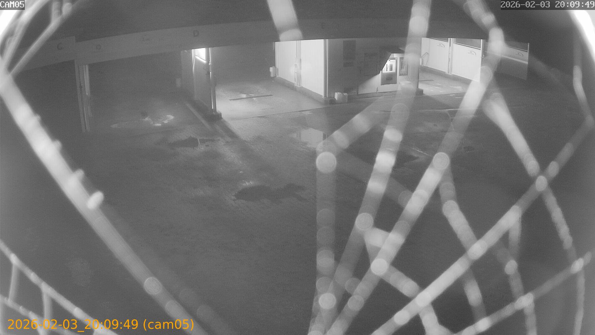 thumbnail_20260203200949