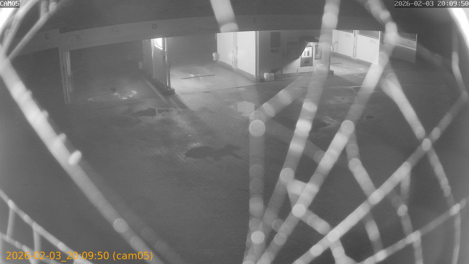 thumbnail_20260203200950