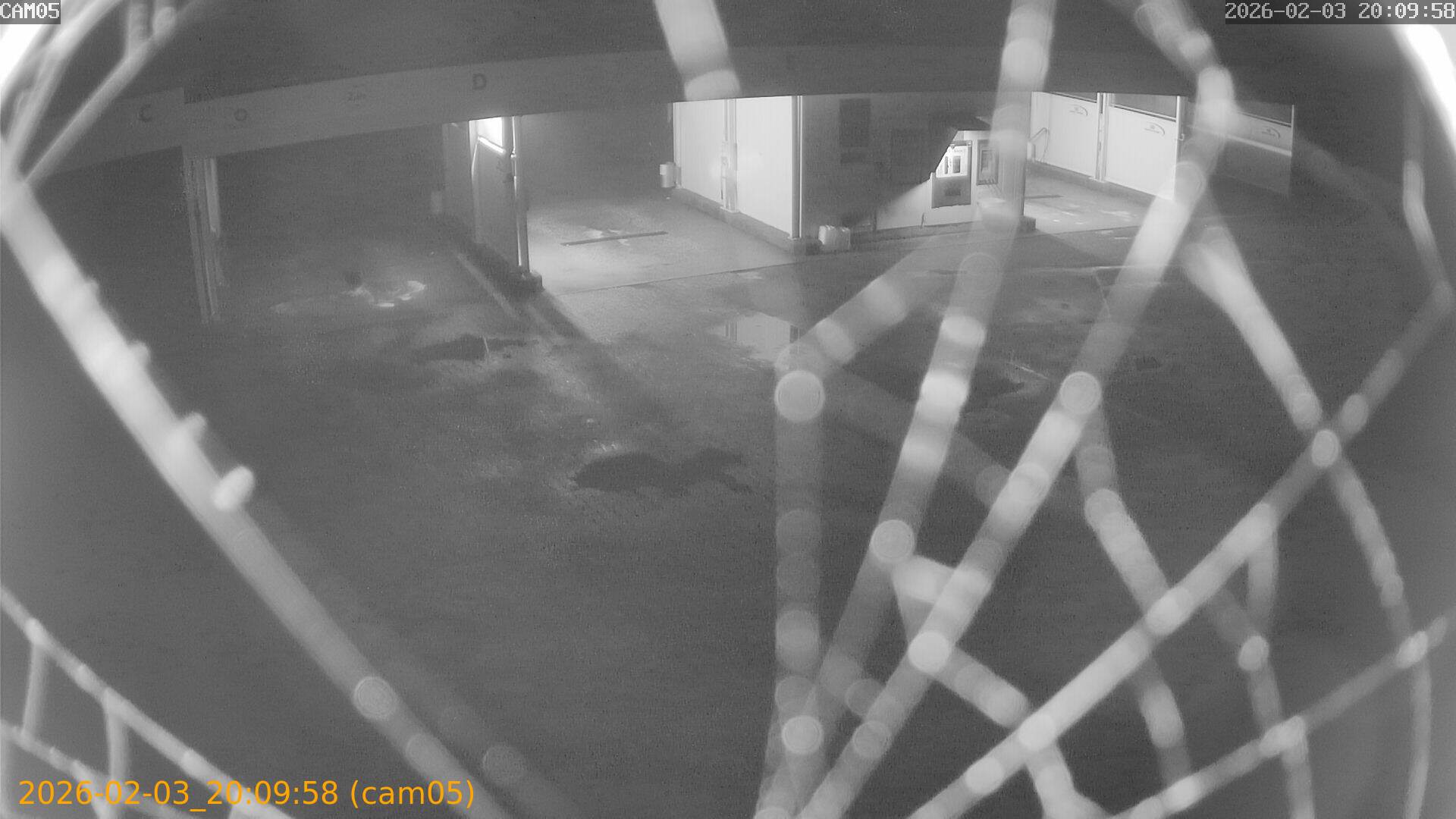 thumbnail_20260203200958