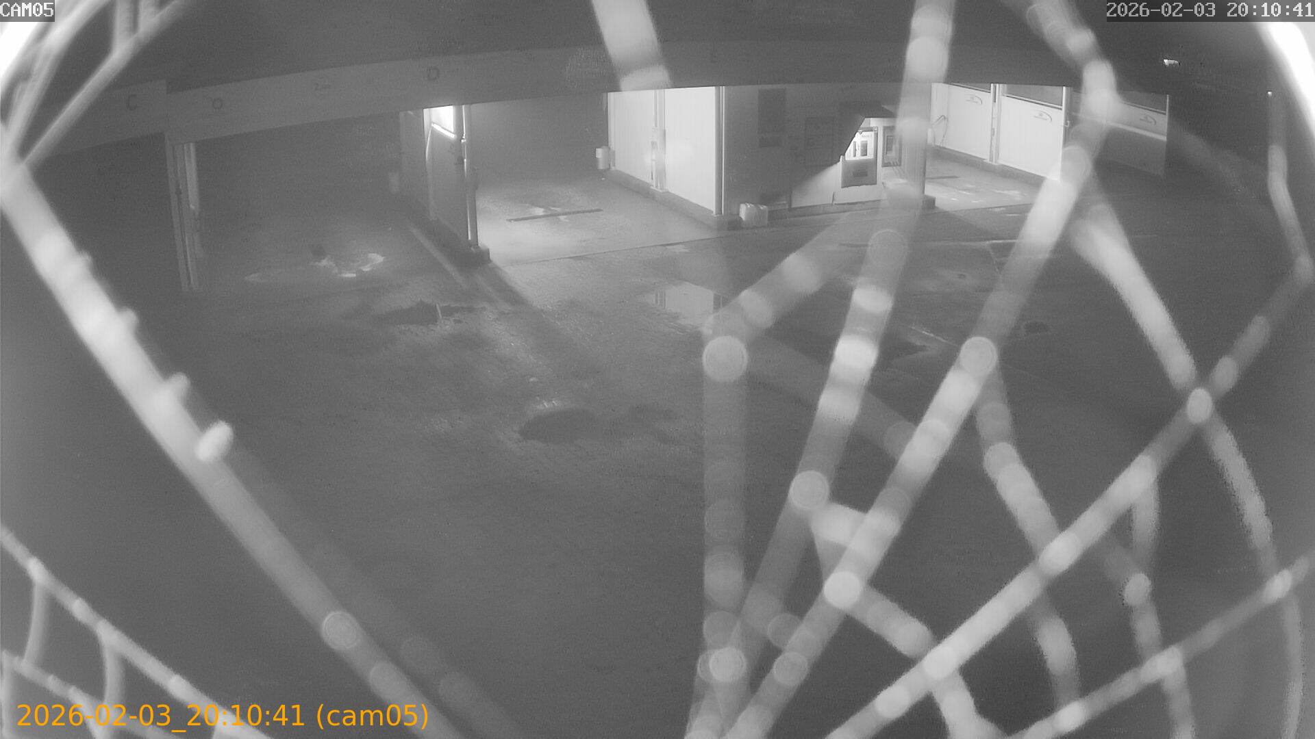 thumbnail_20260203201041