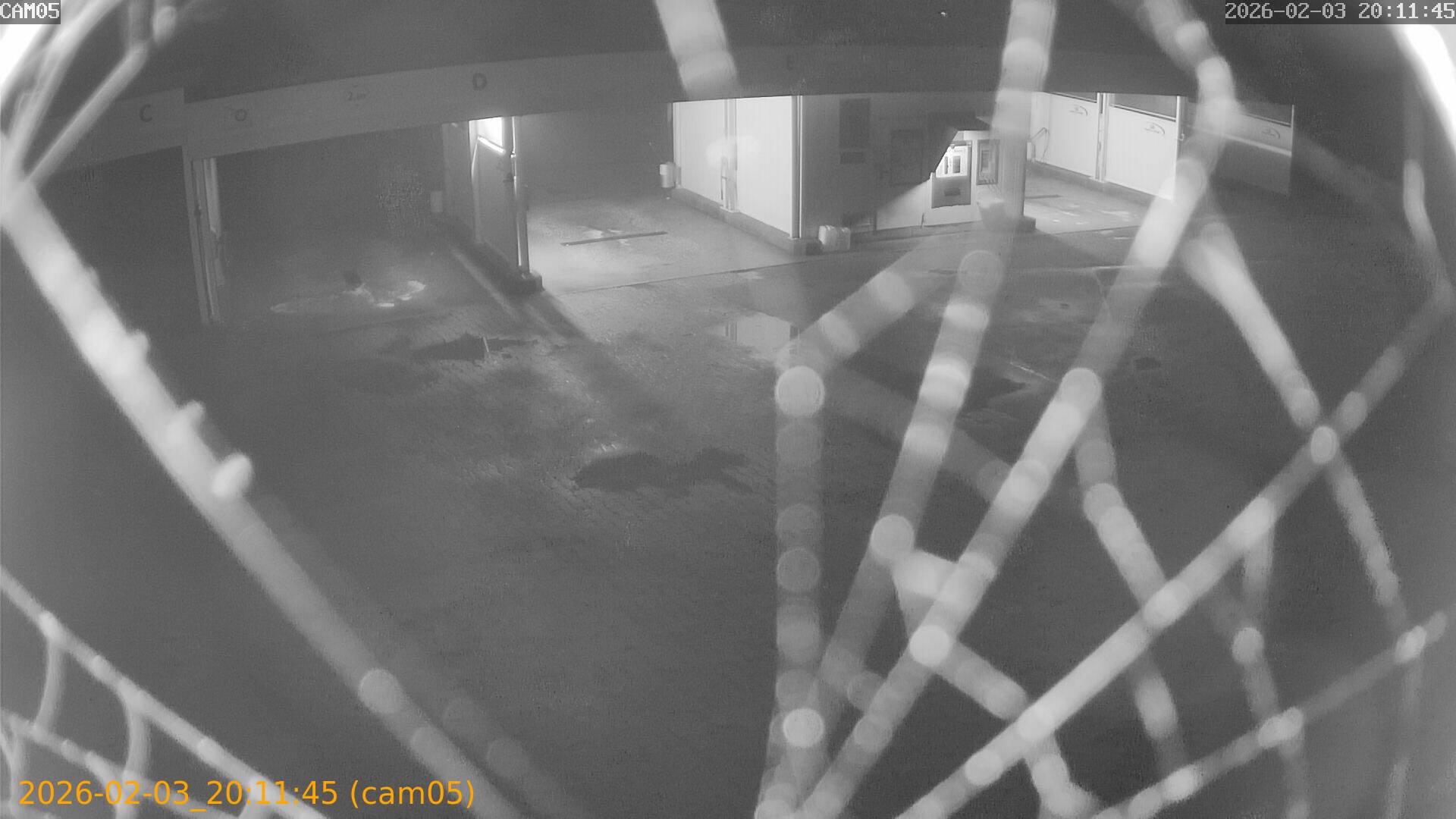 thumbnail_20260203201145