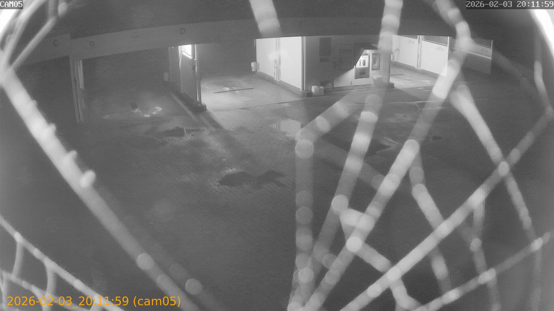 thumbnail_20260203201159