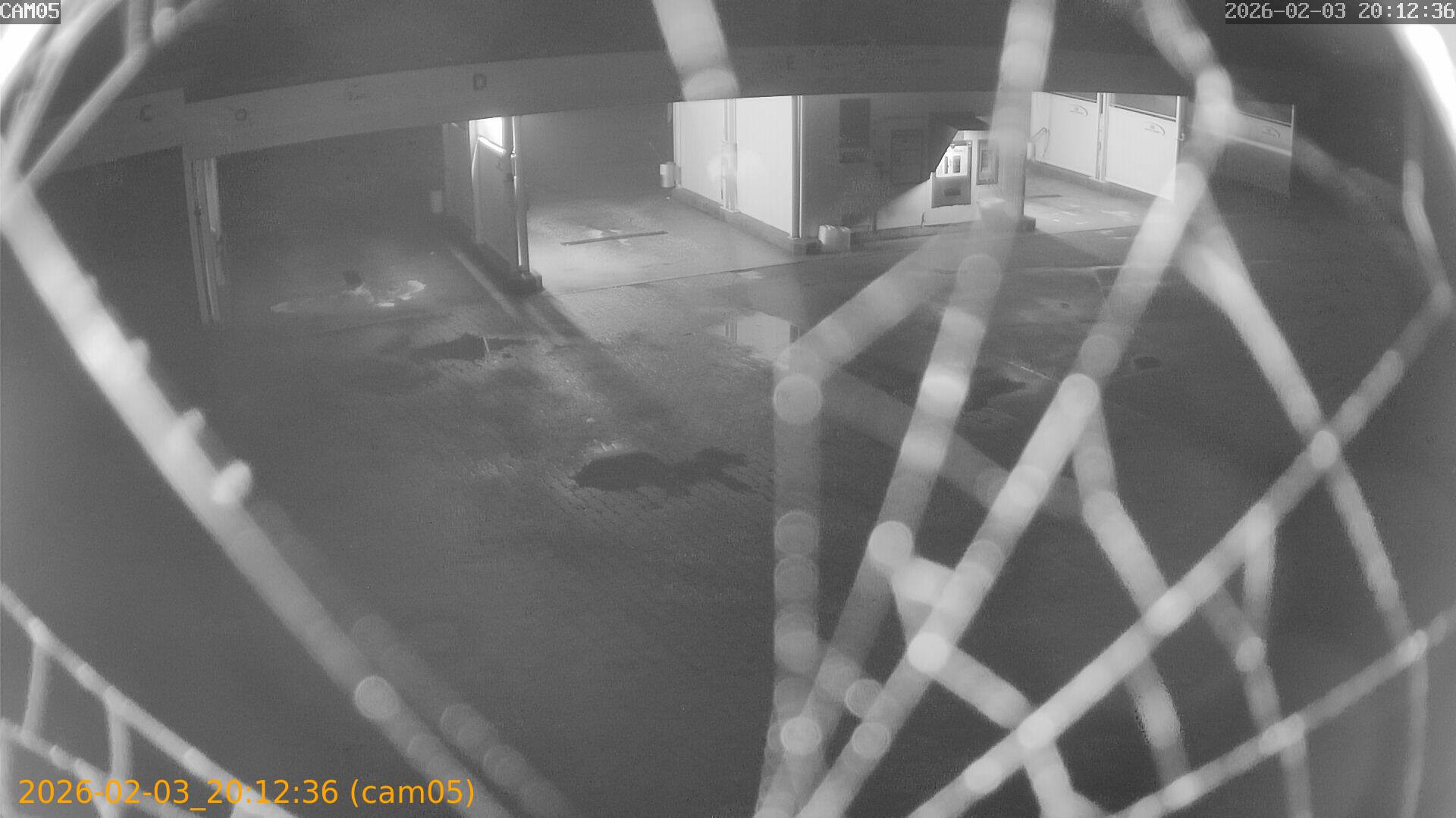 thumbnail_20260203201236