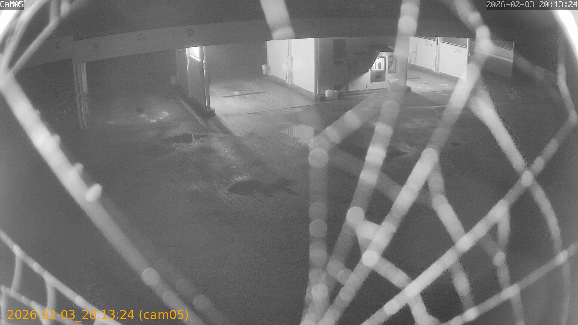 thumbnail_20260203201324