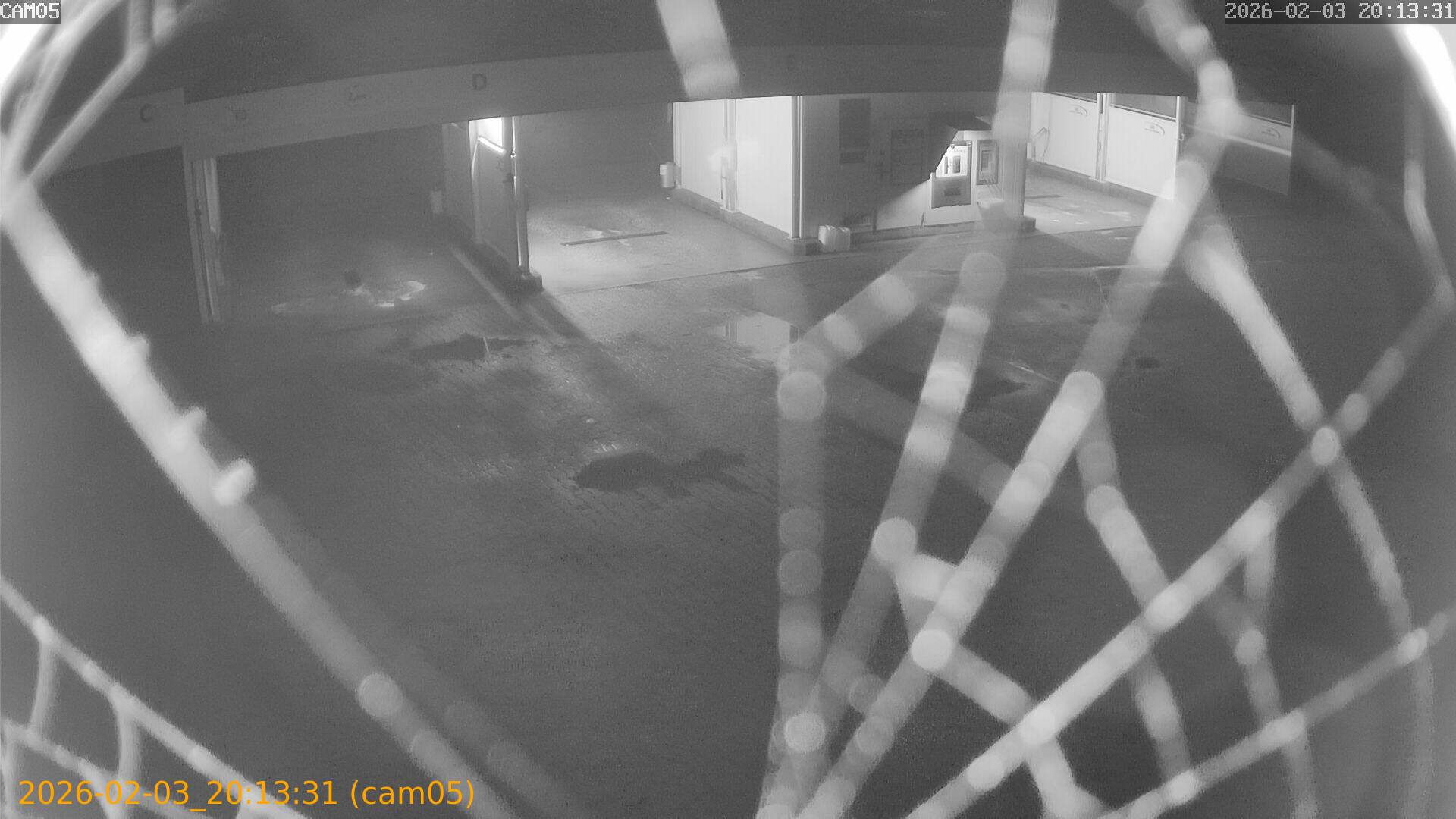 thumbnail_20260203201331