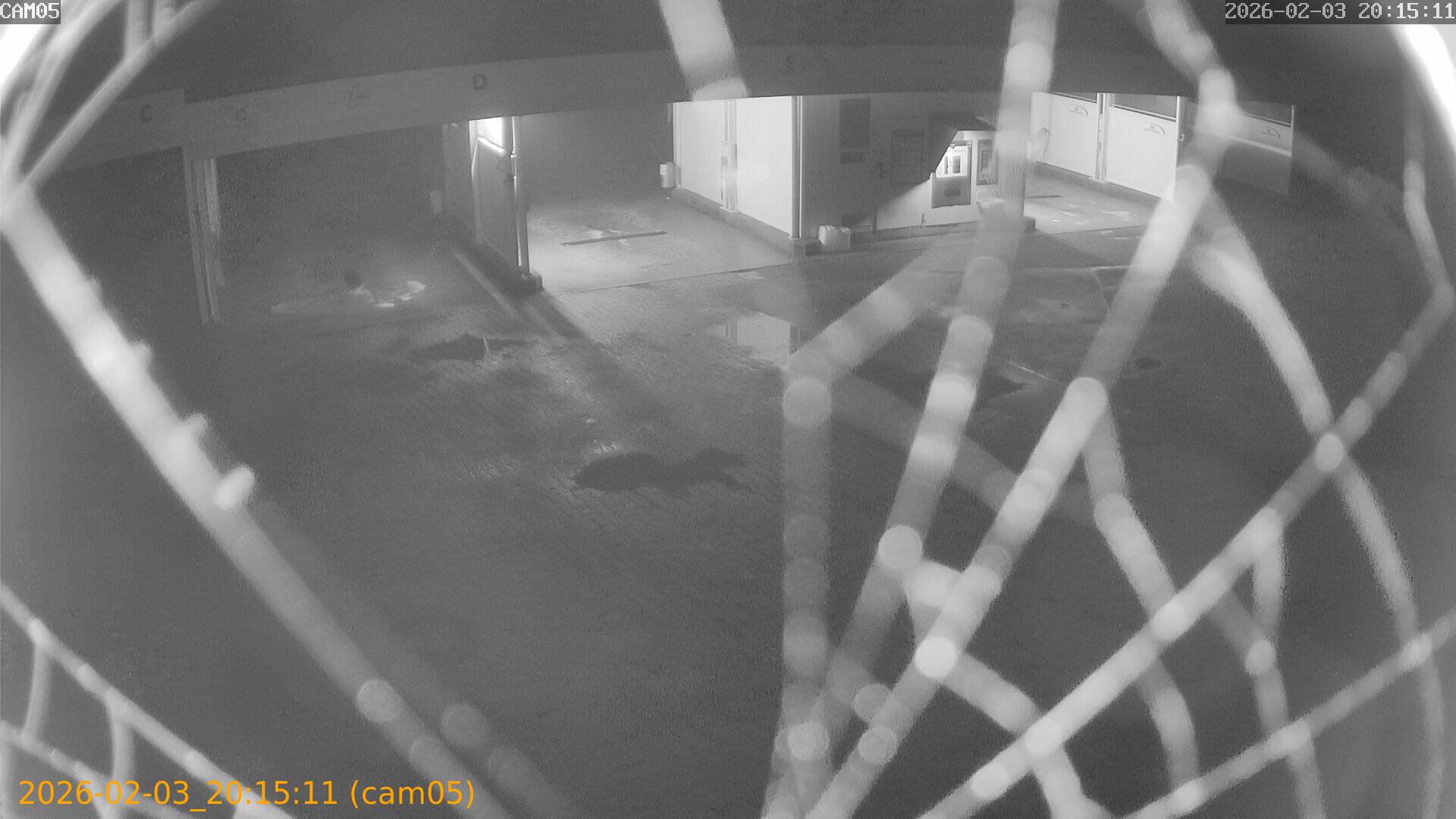 thumbnail_20260203201511