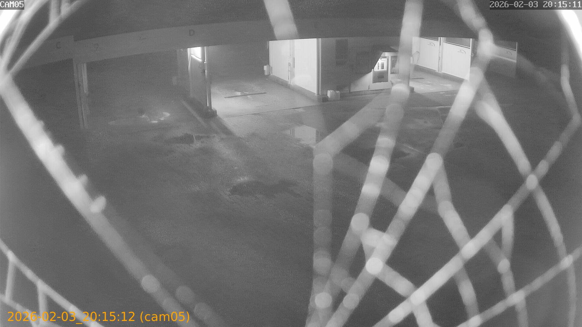 thumbnail_20260203201512