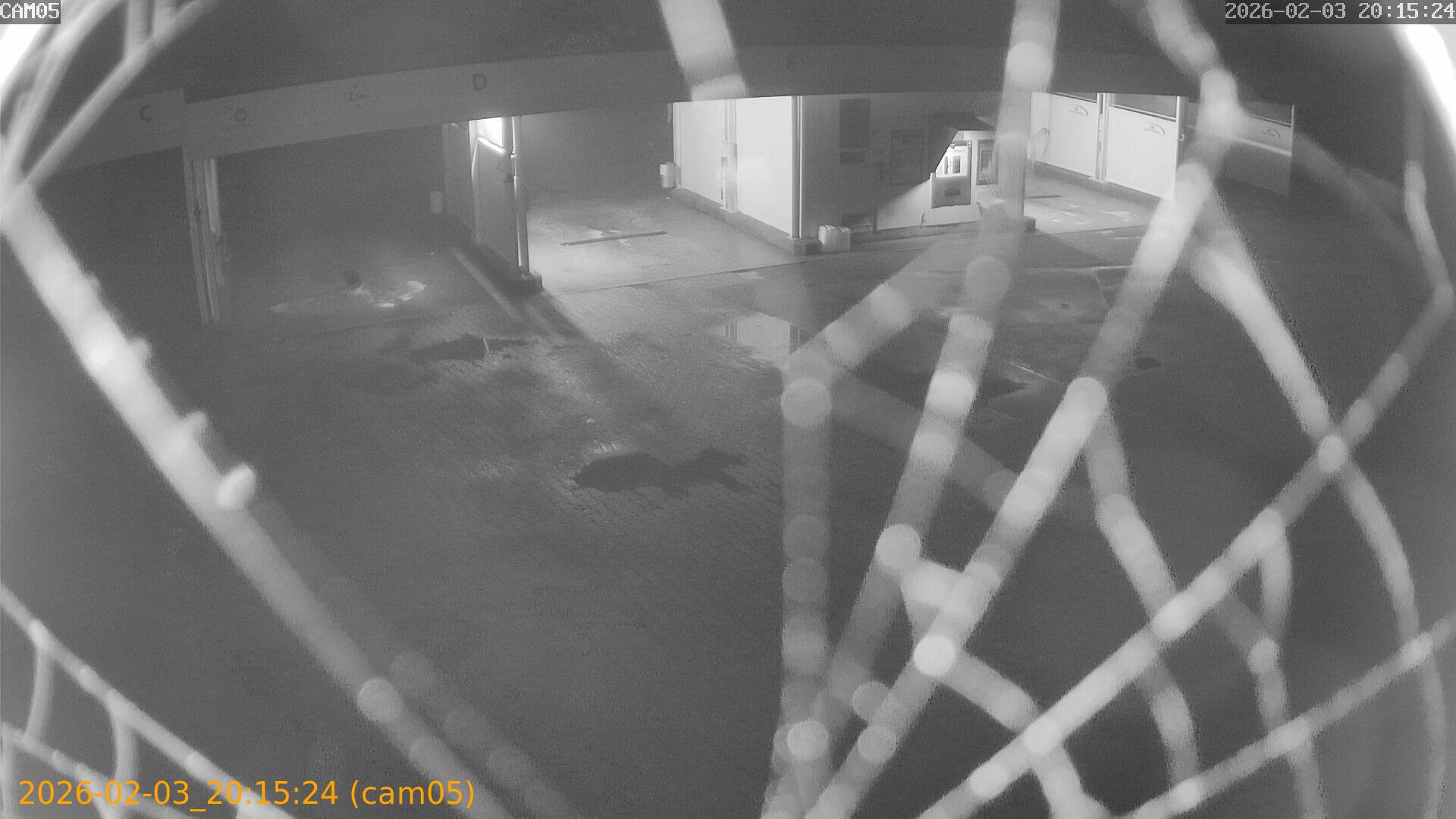 thumbnail_20260203201524