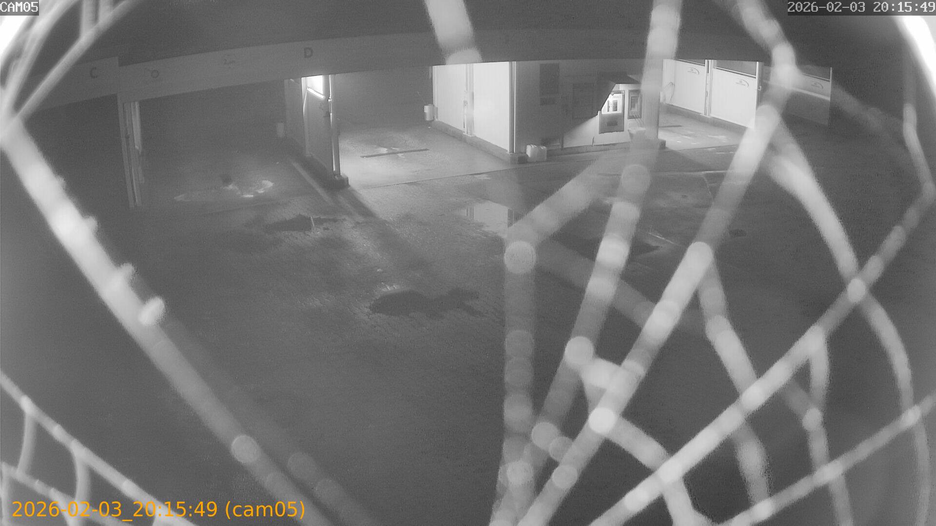 thumbnail_20260203201549