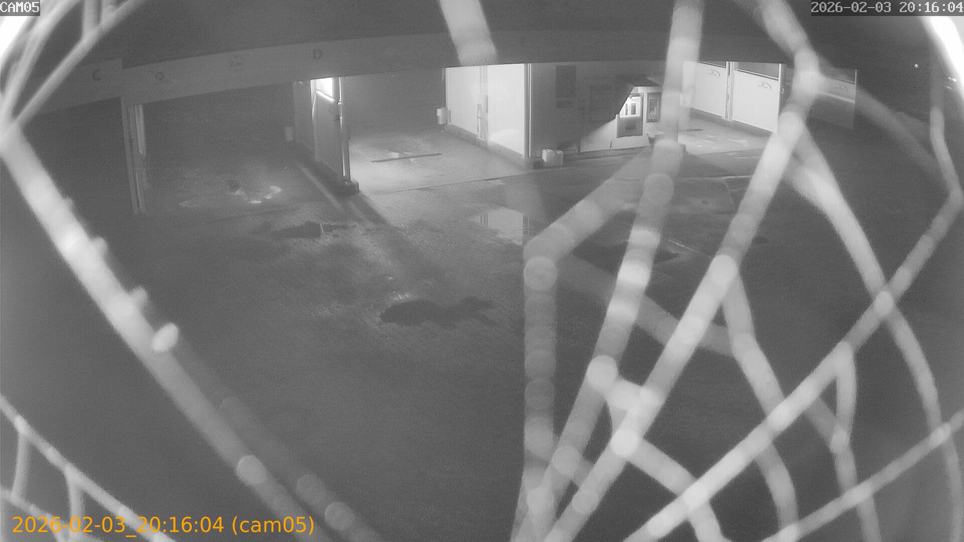 thumbnail_20260203201604