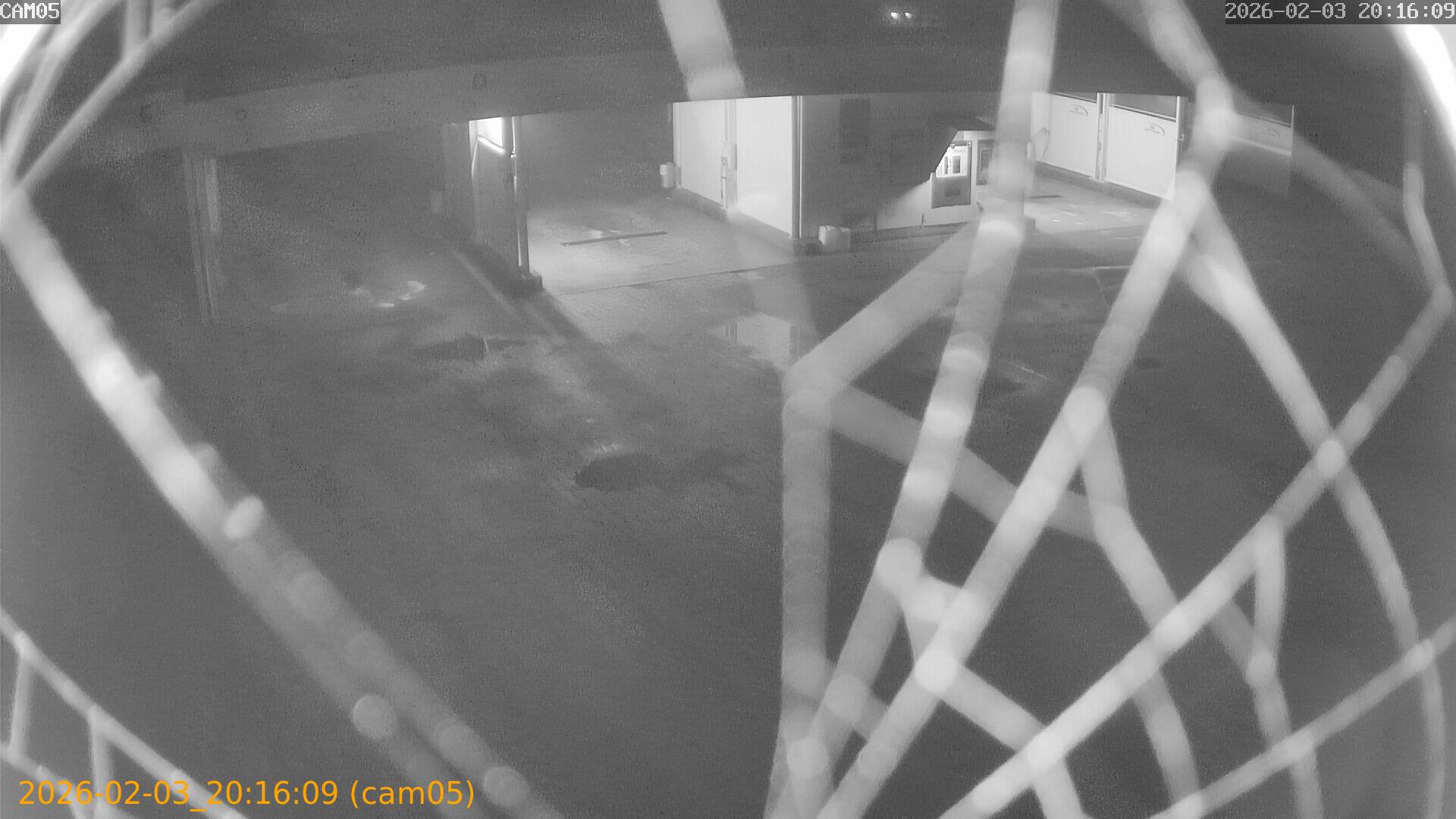 thumbnail_20260203201609