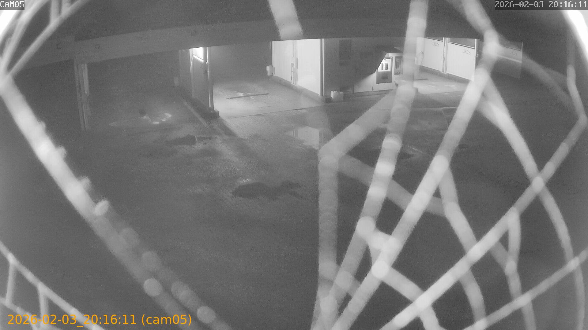 thumbnail_20260203201611