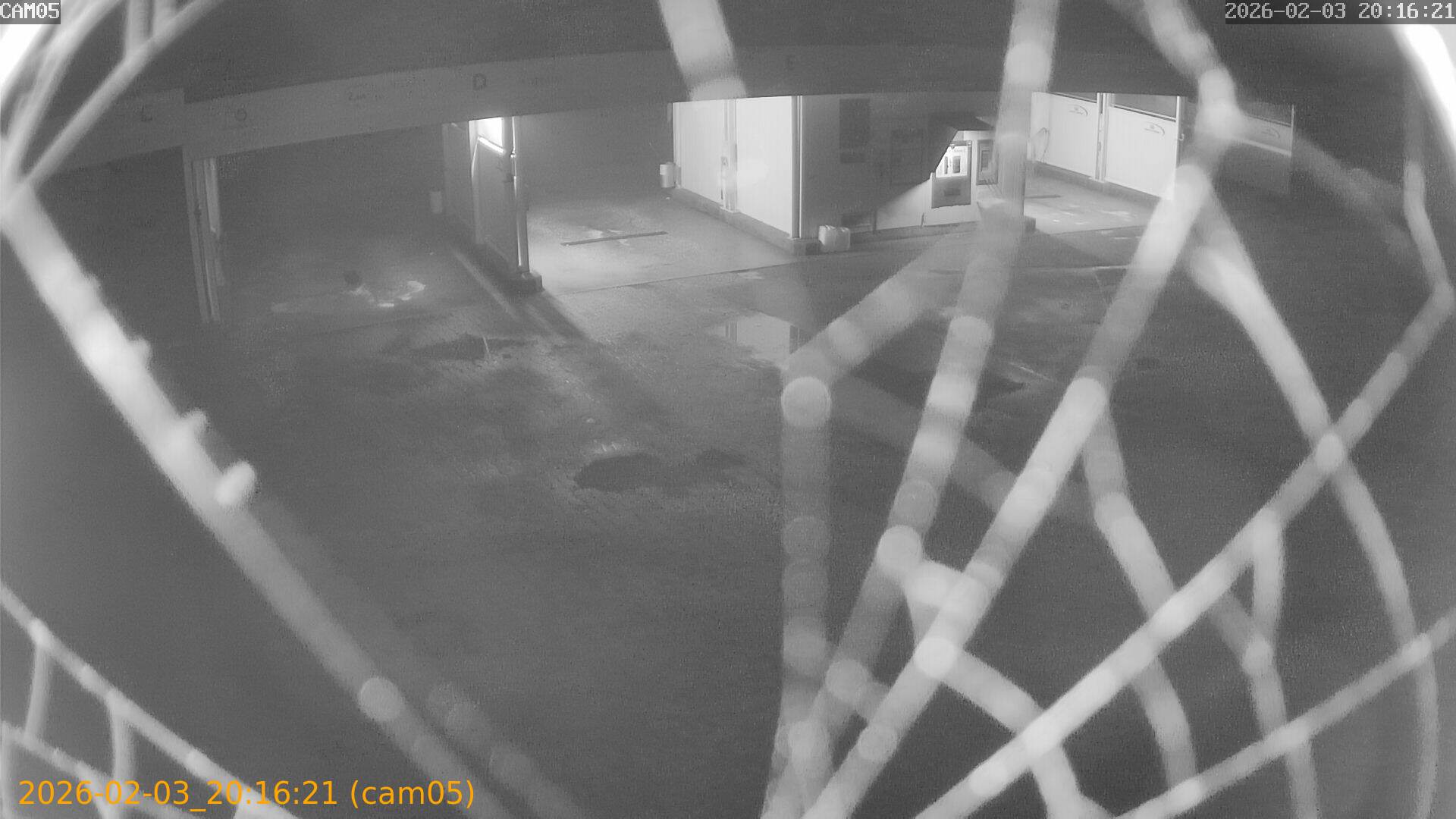 thumbnail_20260203201621