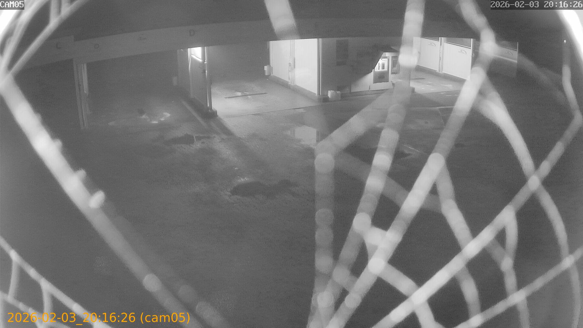 thumbnail_20260203201626