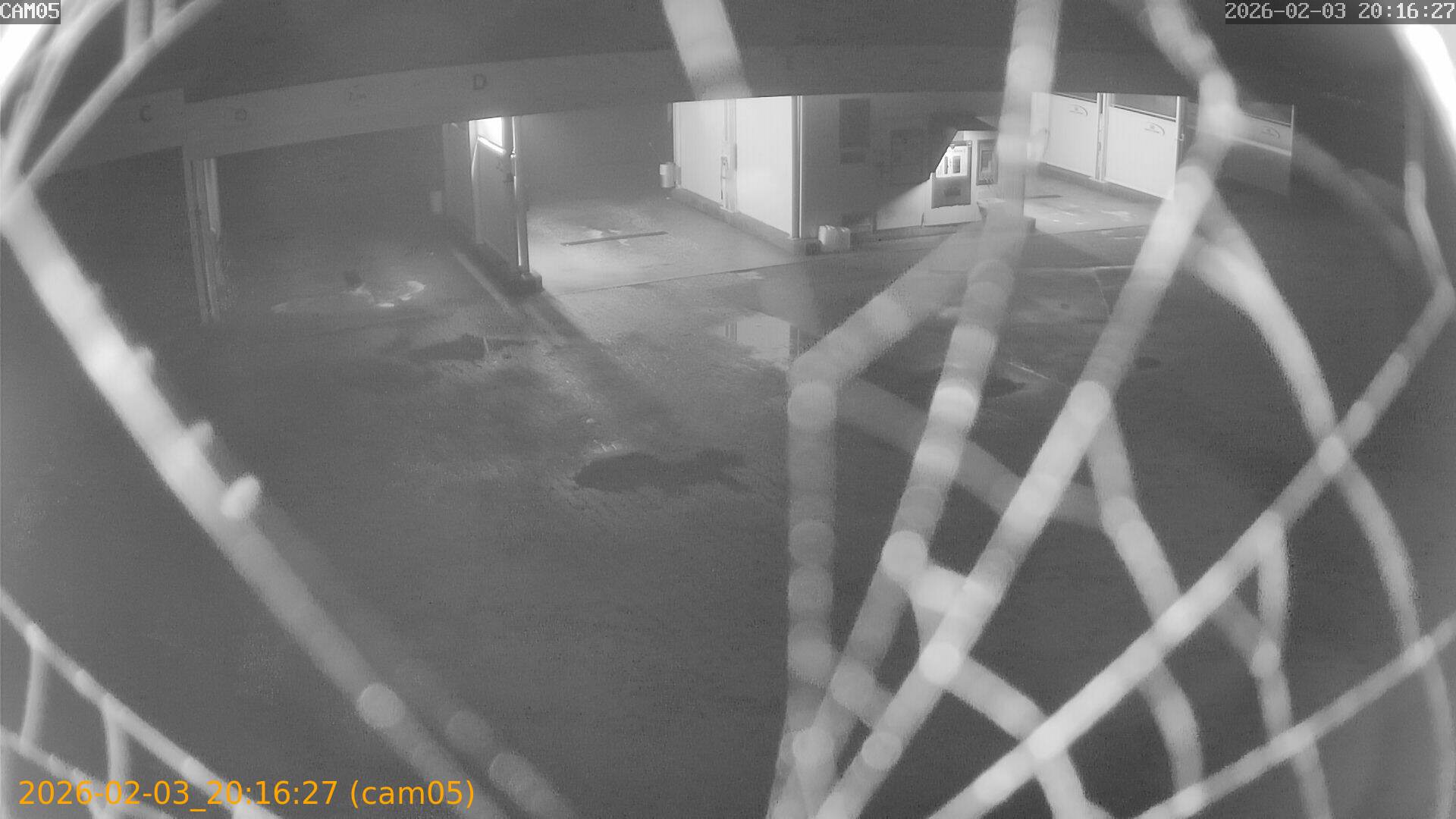 thumbnail_20260203201627