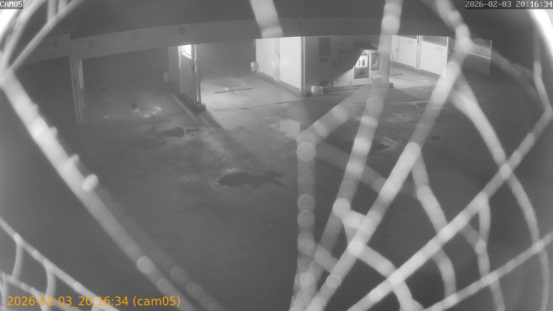 thumbnail_20260203201634