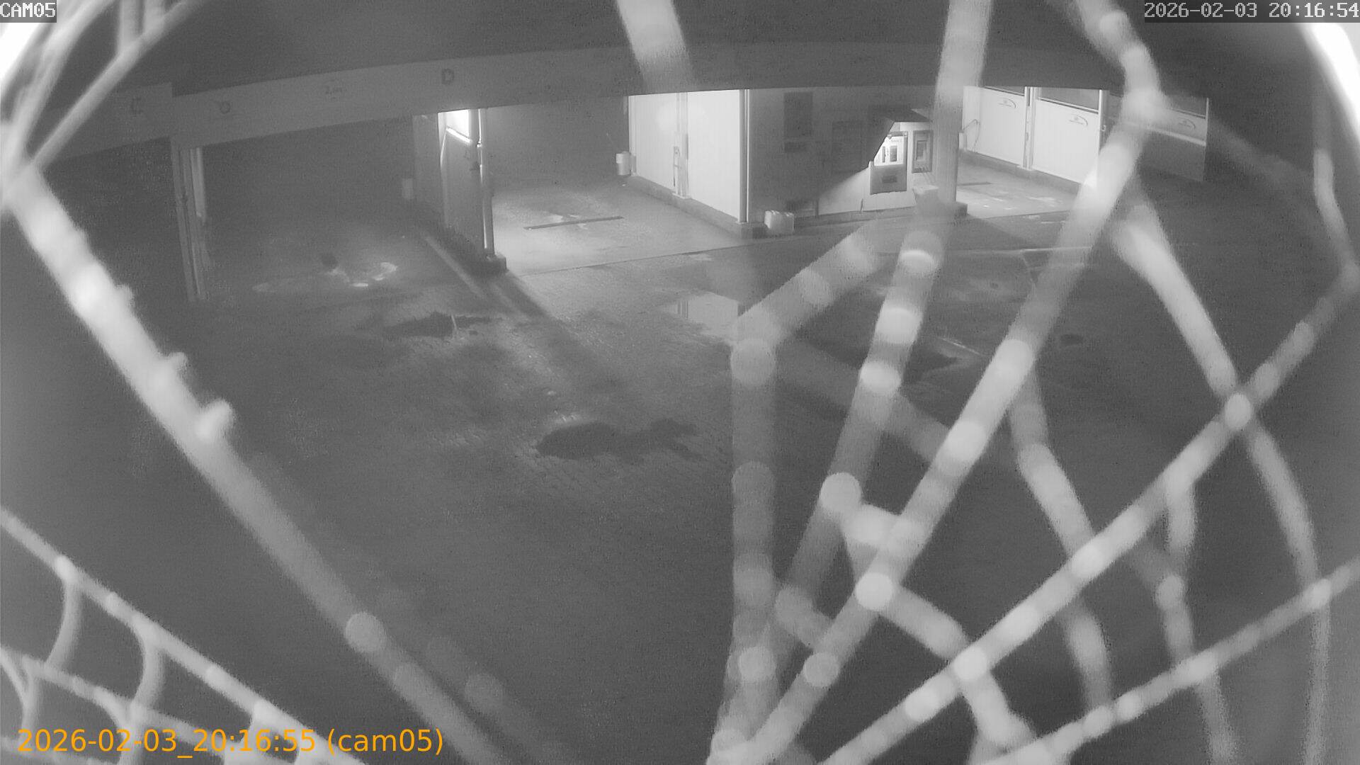 thumbnail_20260203201655