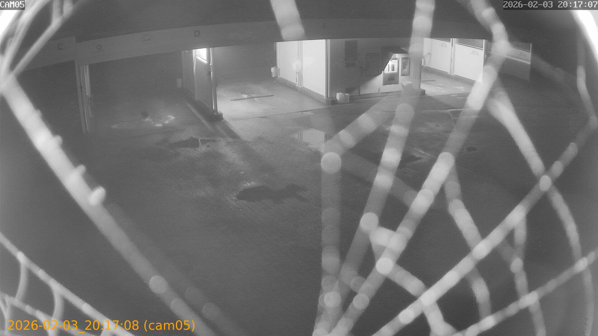 thumbnail_20260203201708