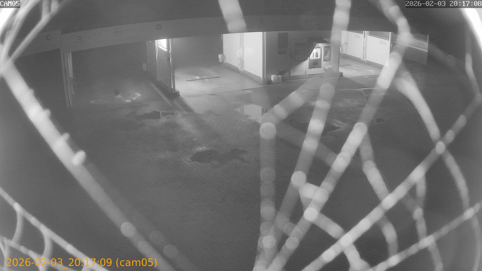 thumbnail_20260203201709