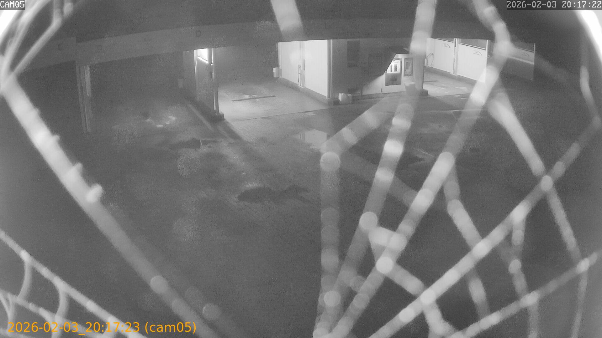 thumbnail_20260203201723