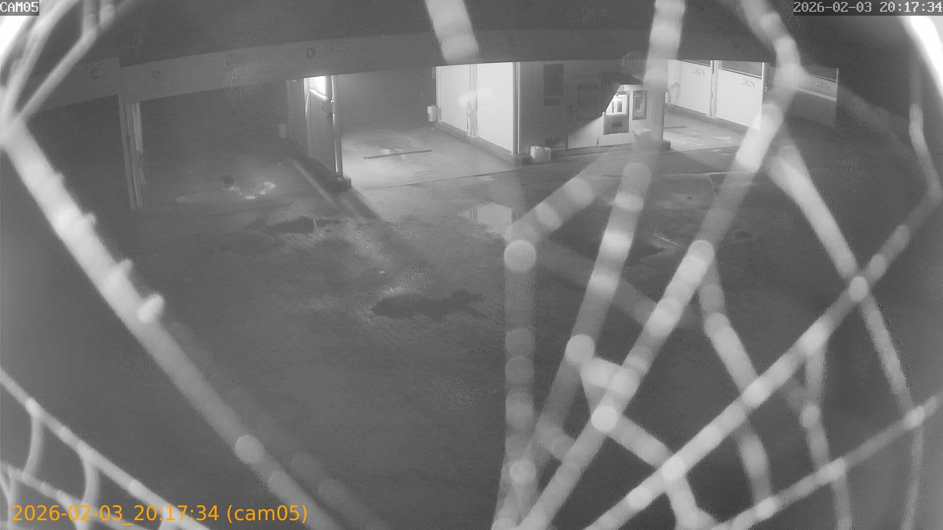 thumbnail_20260203201734