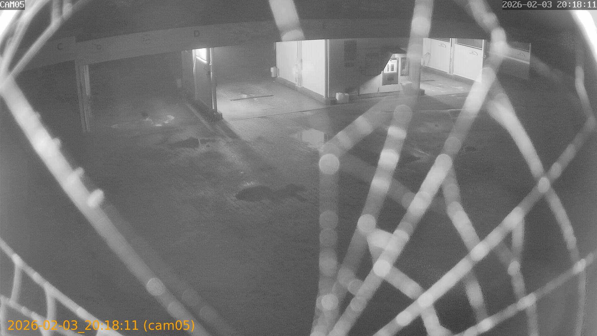 thumbnail_20260203201811