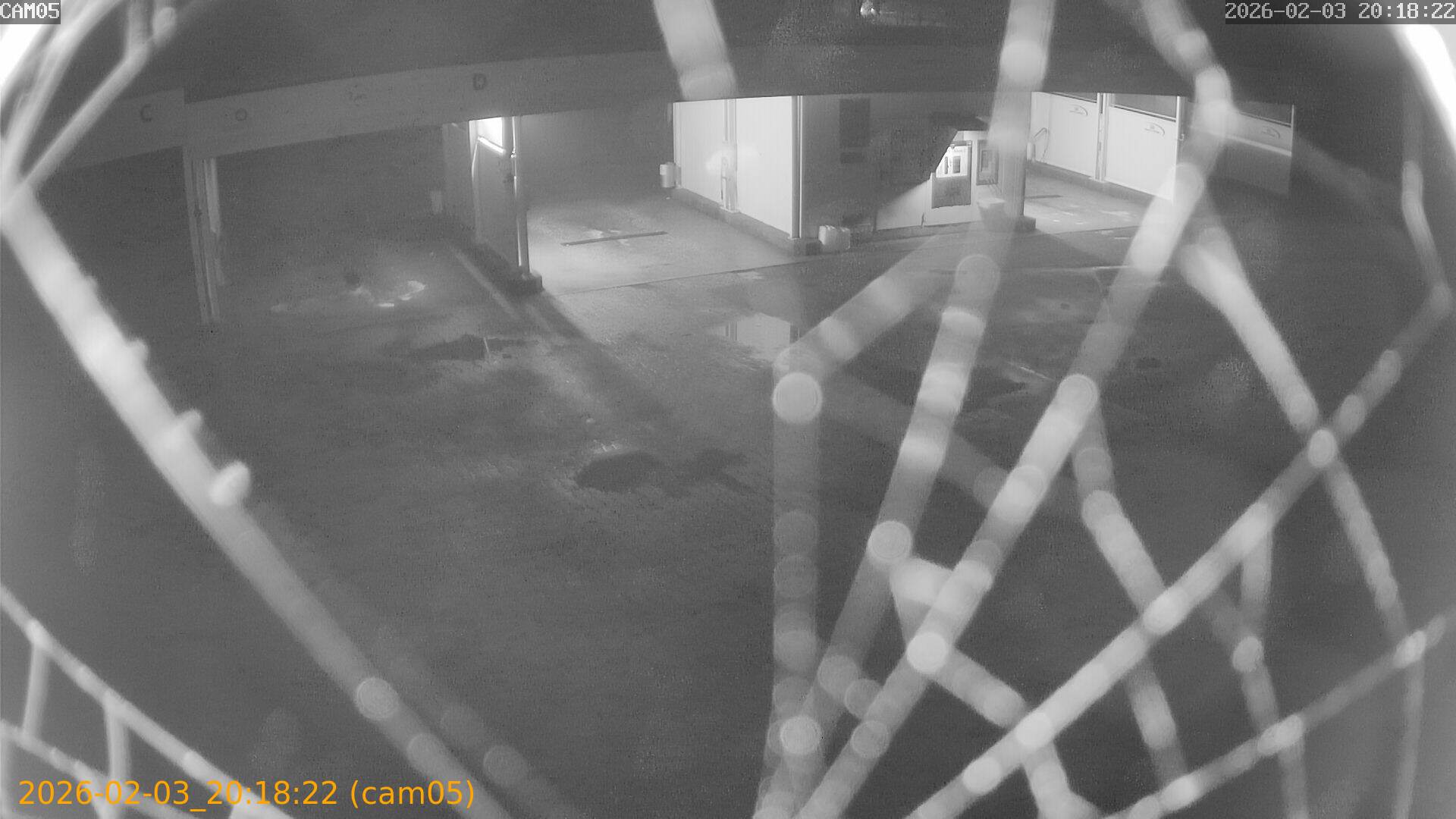 thumbnail_20260203201822