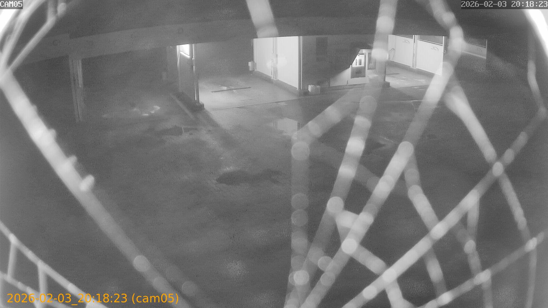 thumbnail_20260203201823