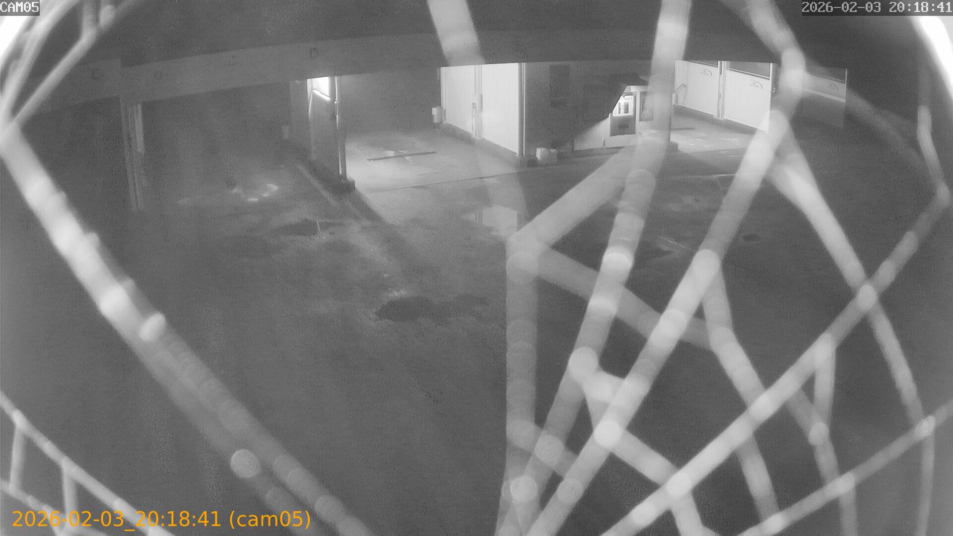 thumbnail_20260203201841