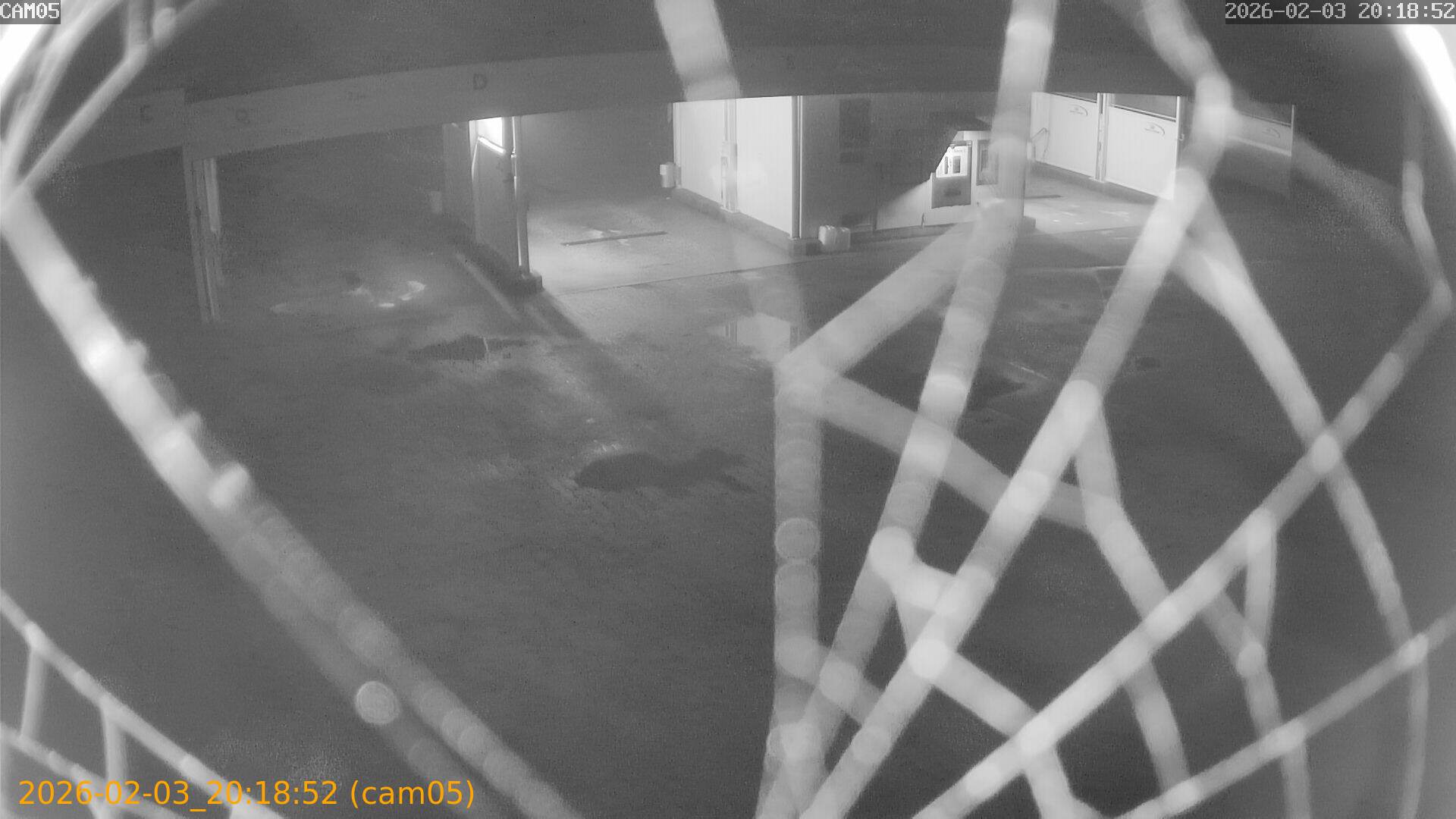 thumbnail_20260203201852