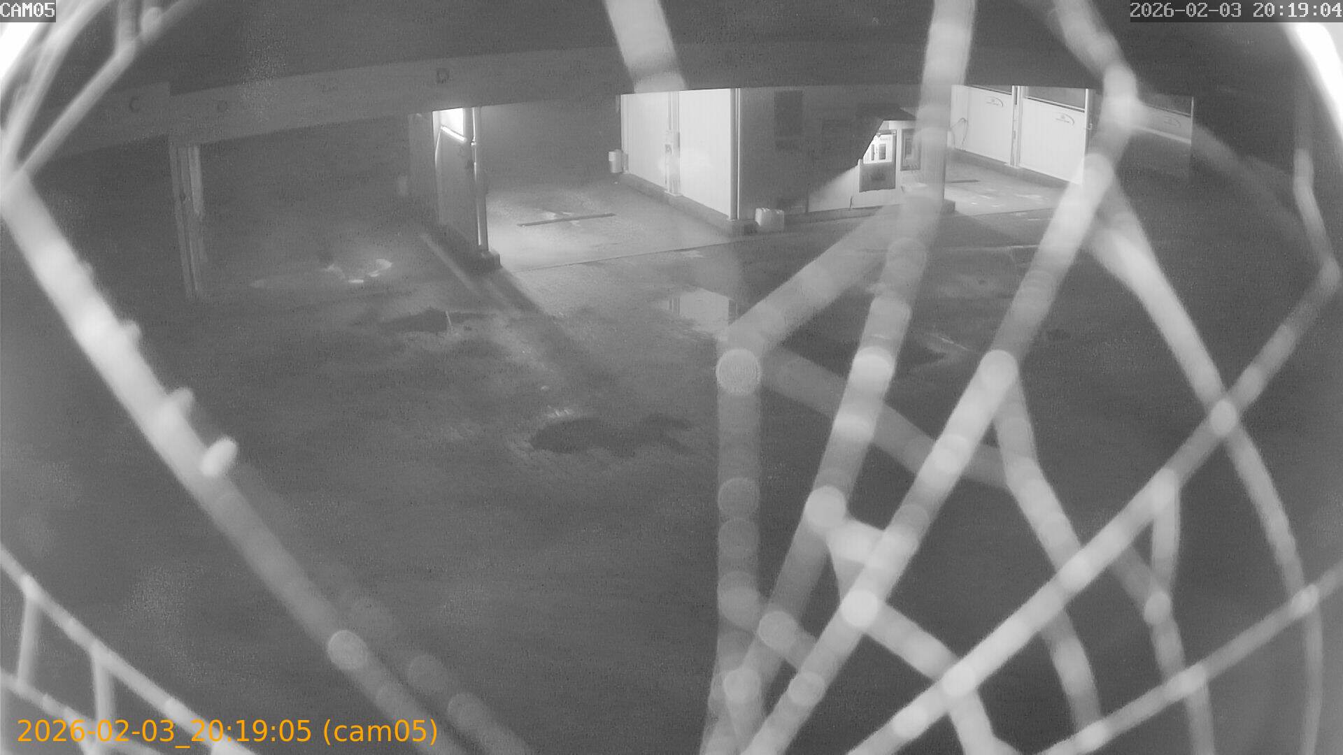 thumbnail_20260203201905