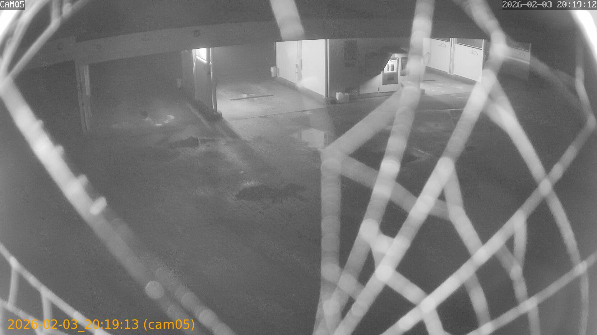 thumbnail_20260203201913